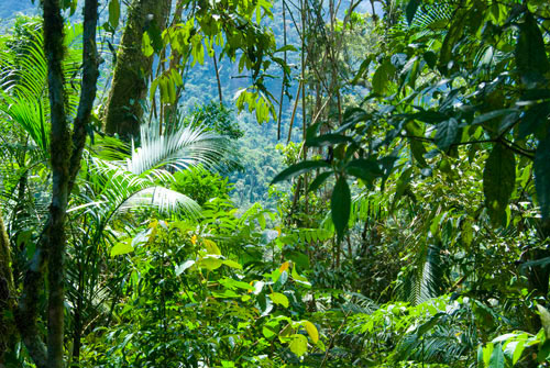 Teresópolis, Brazil