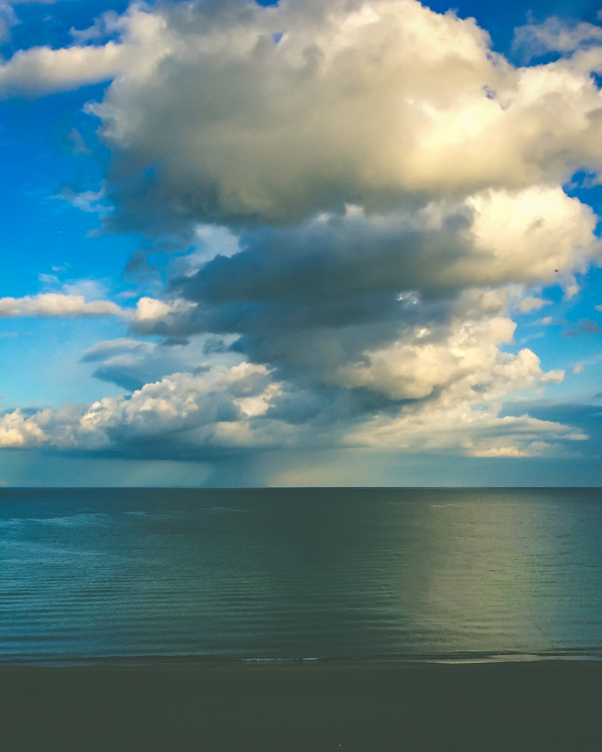 Canford Cliffs 2008