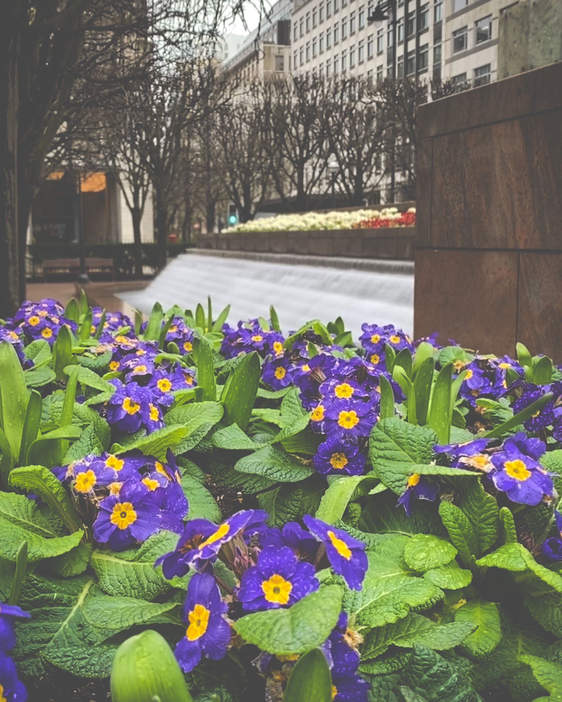 Cabot Square (West India Quay)