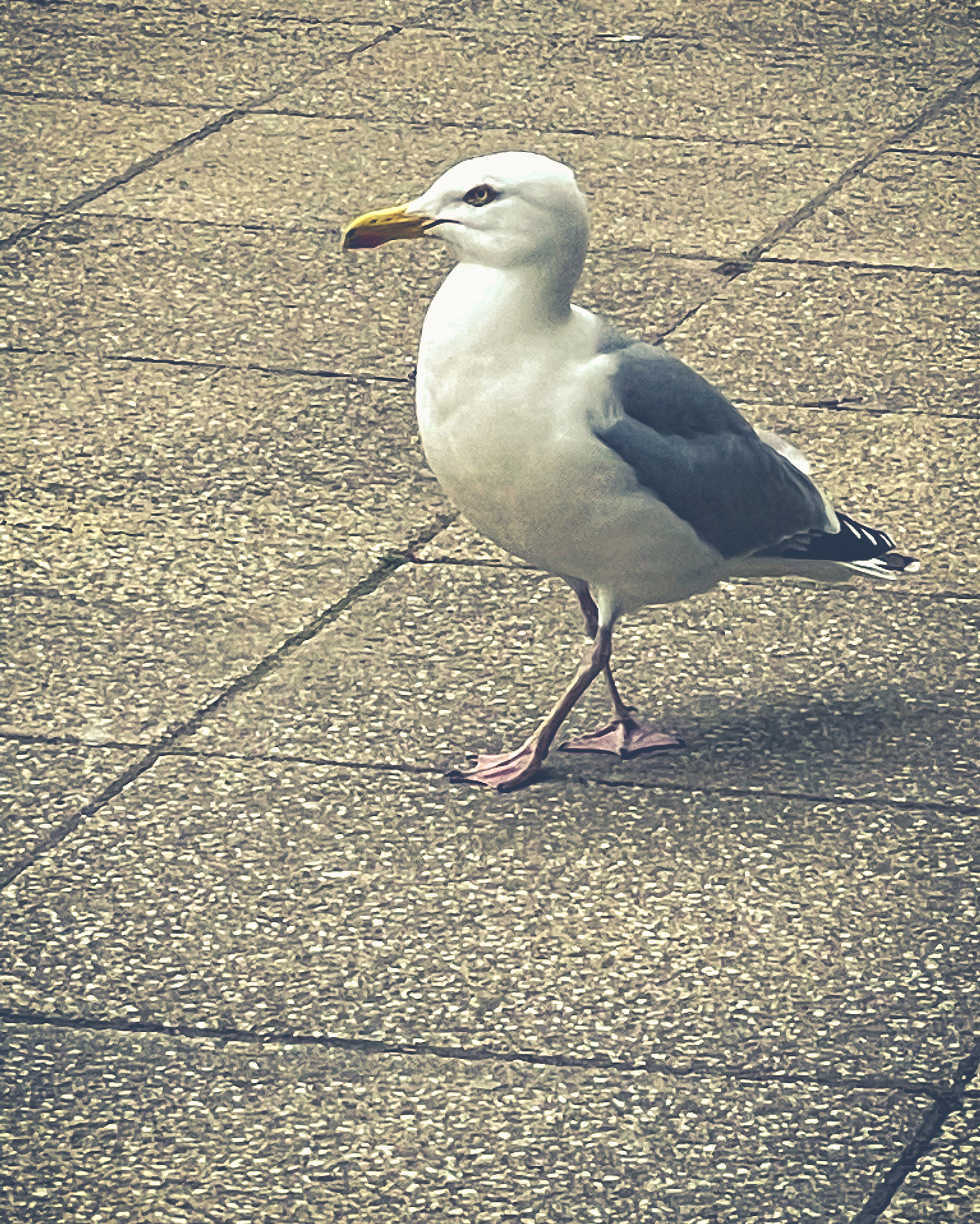 Liverpool