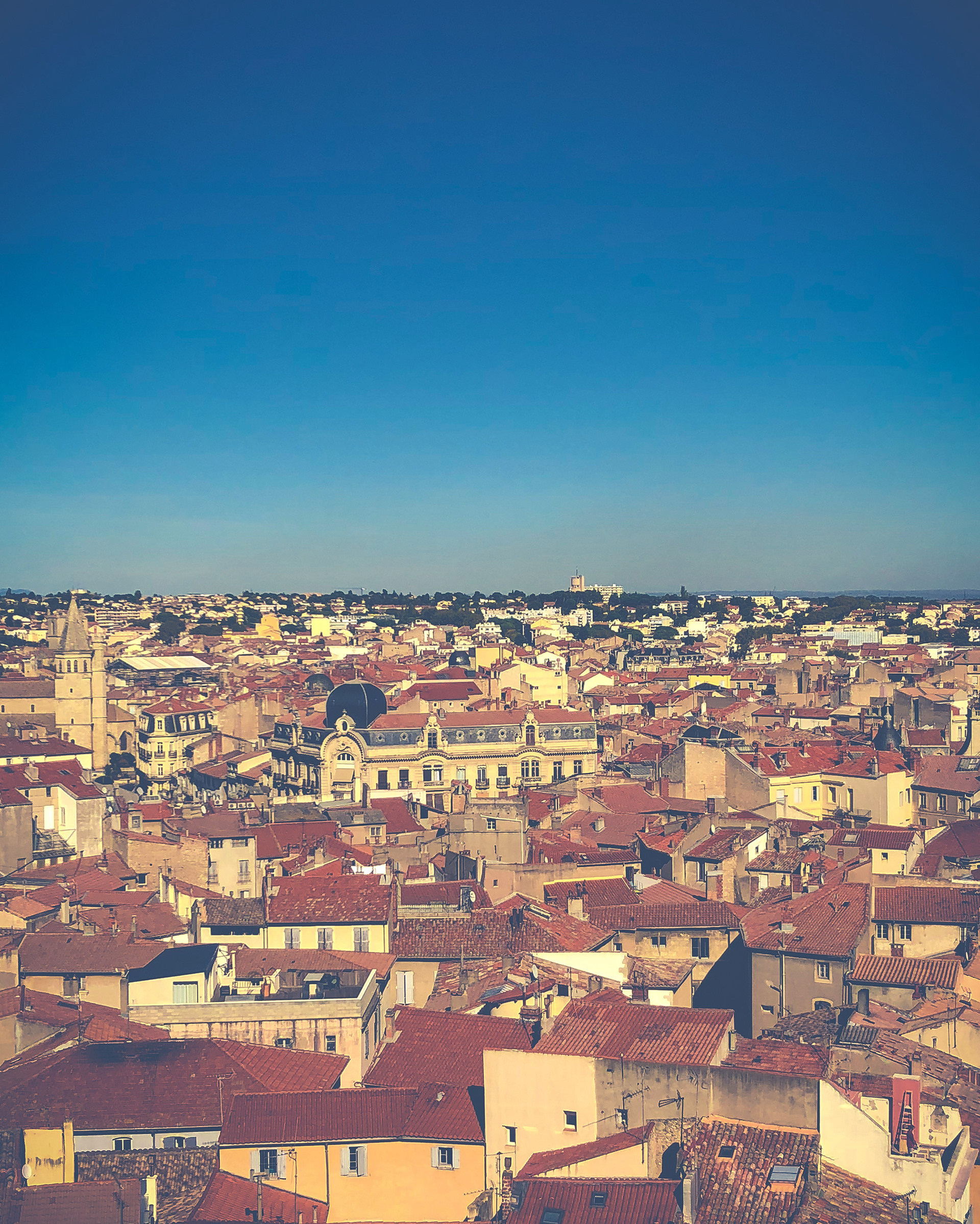 Bezier City