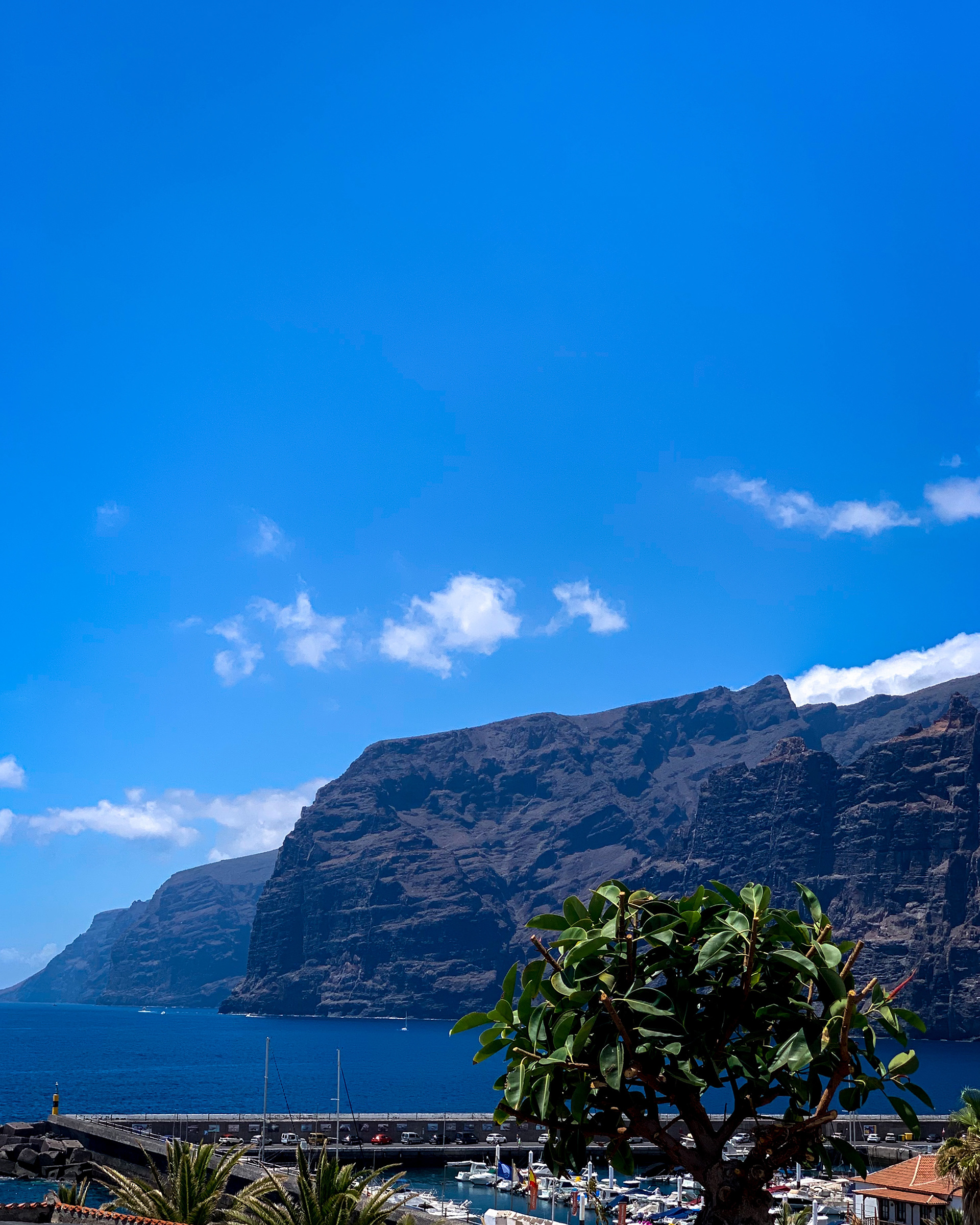 Los Gigantes
