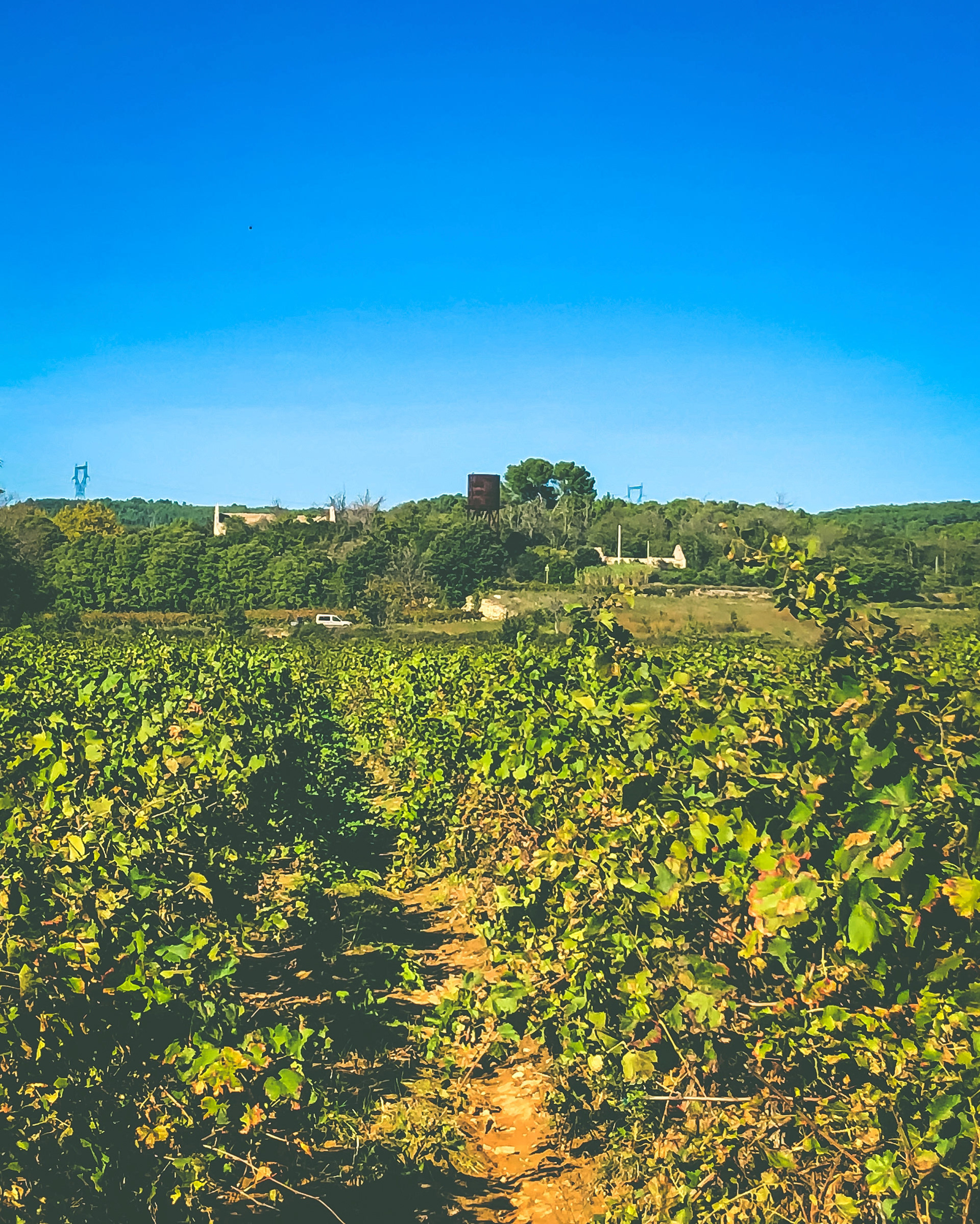 Quarante 2011