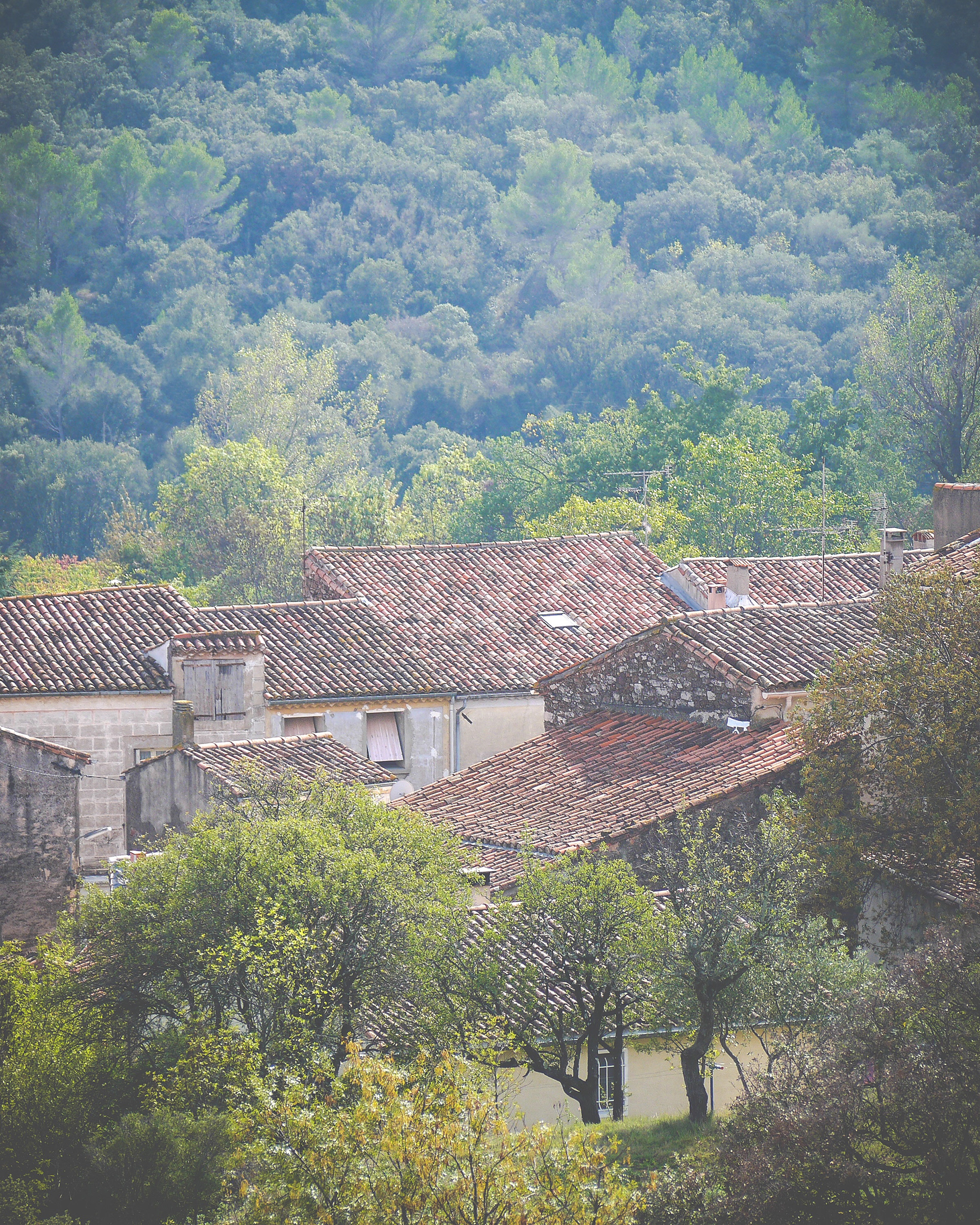 Cazedarnes 2014