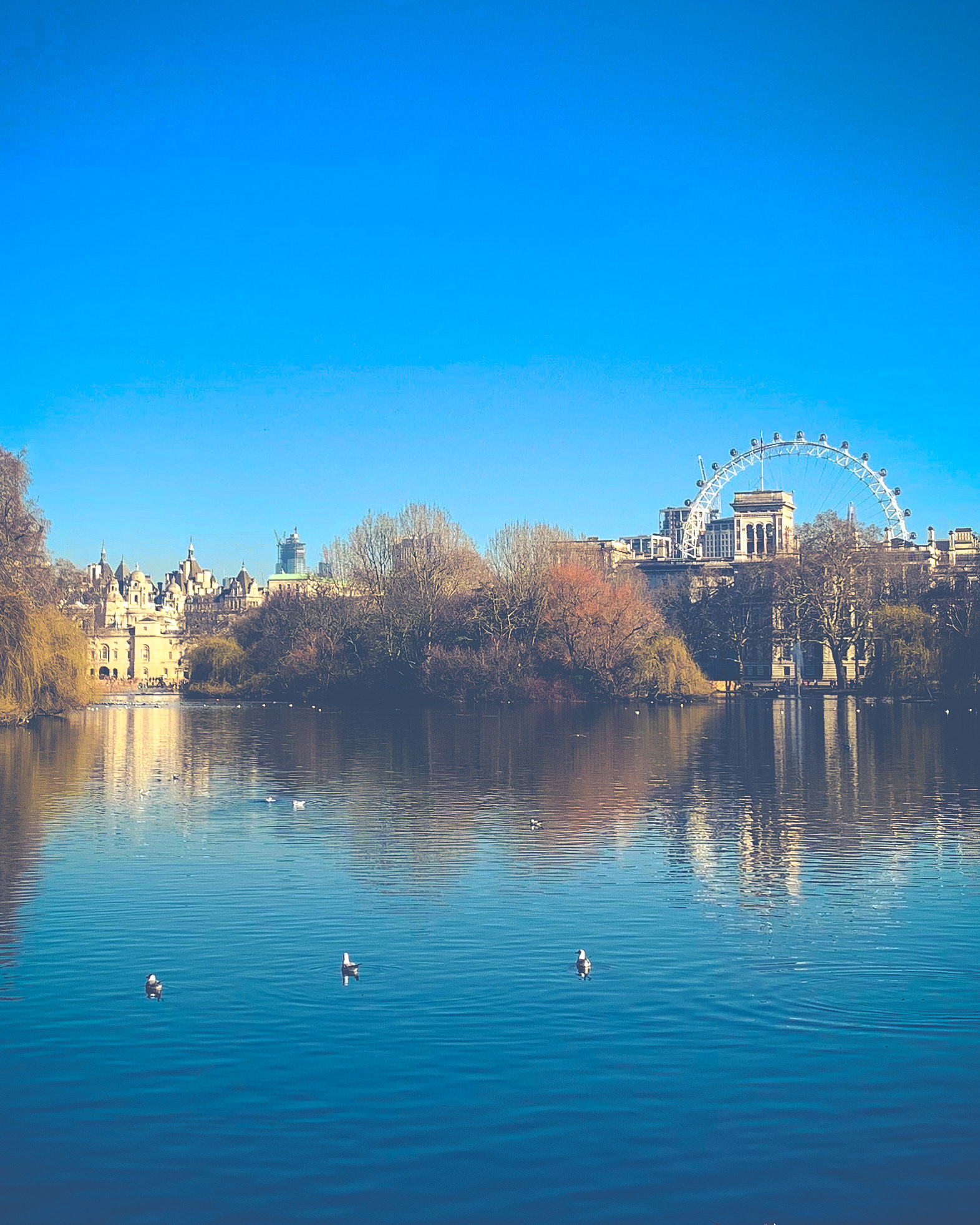 St James Park