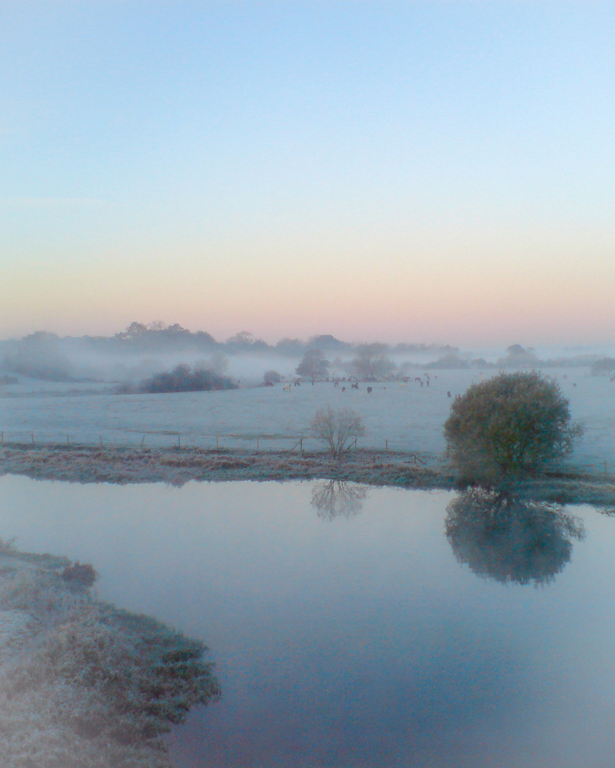 River Stour, outside Wimborne, Dorset (2007)
