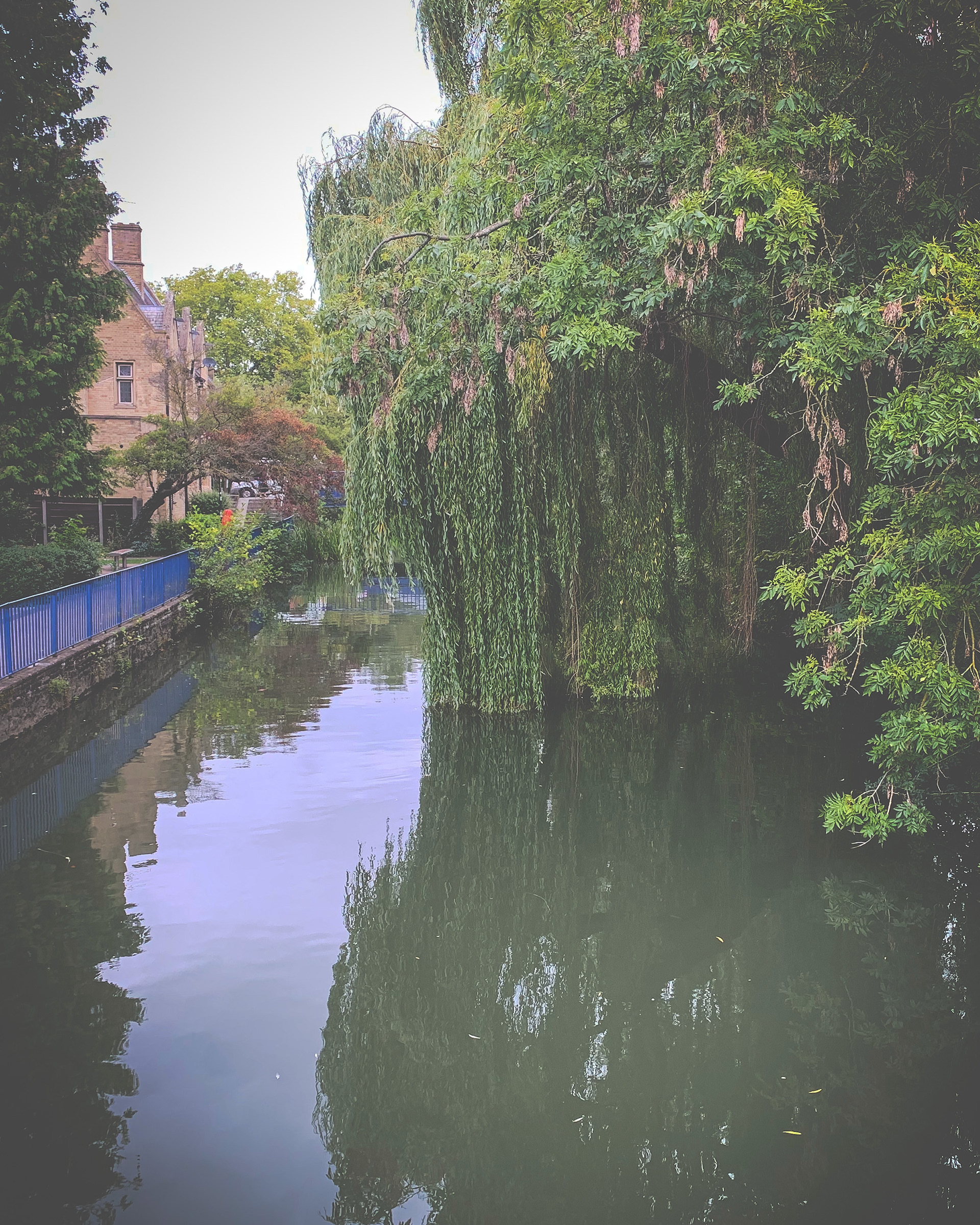 Oxford