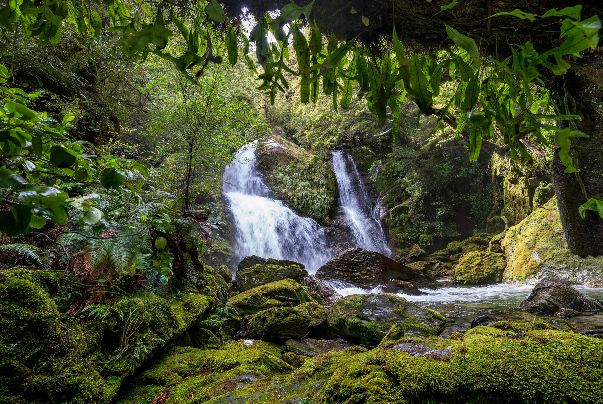 You wouldn't find this on the South Coast Track