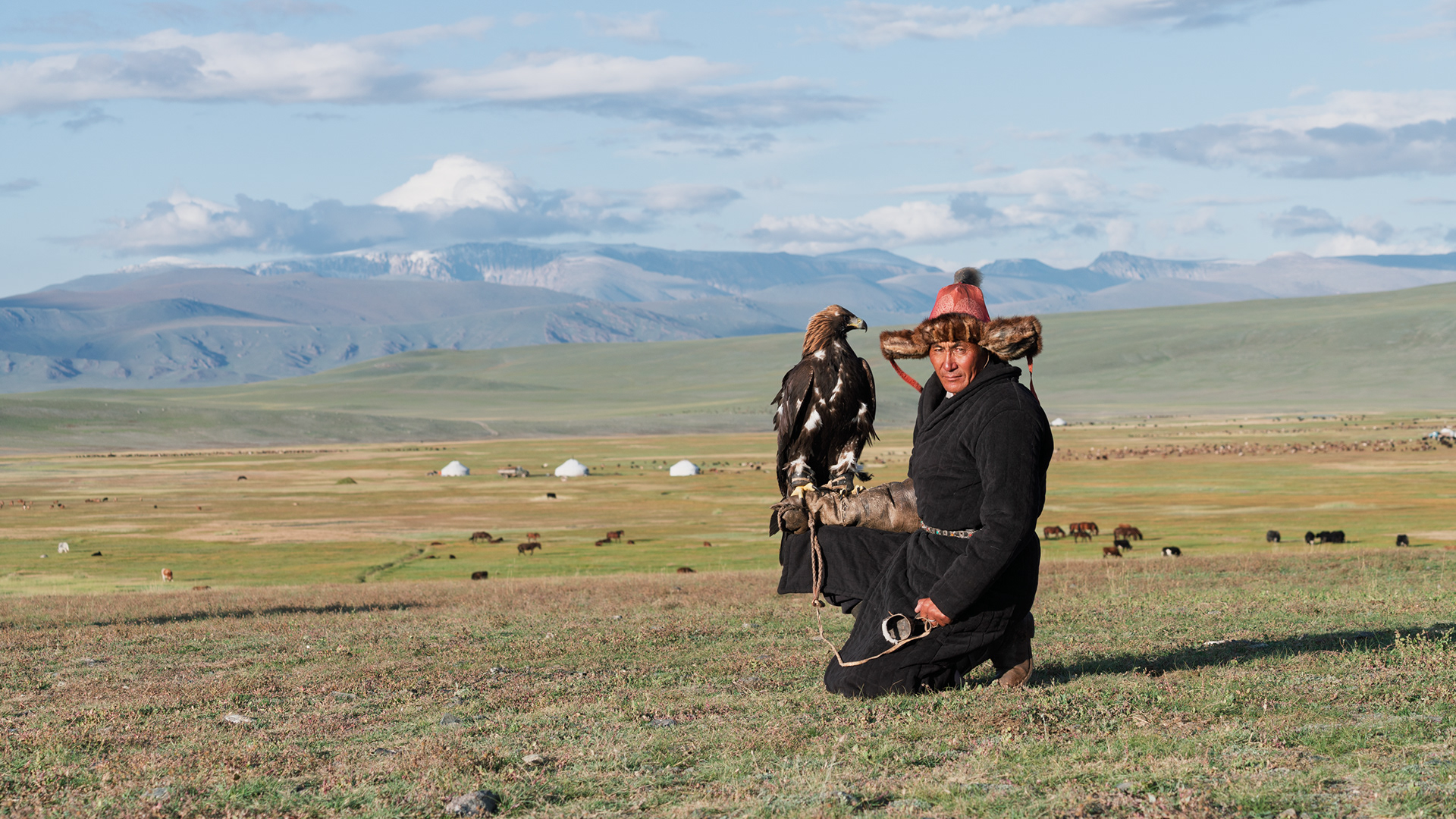 Eagle hunter vista