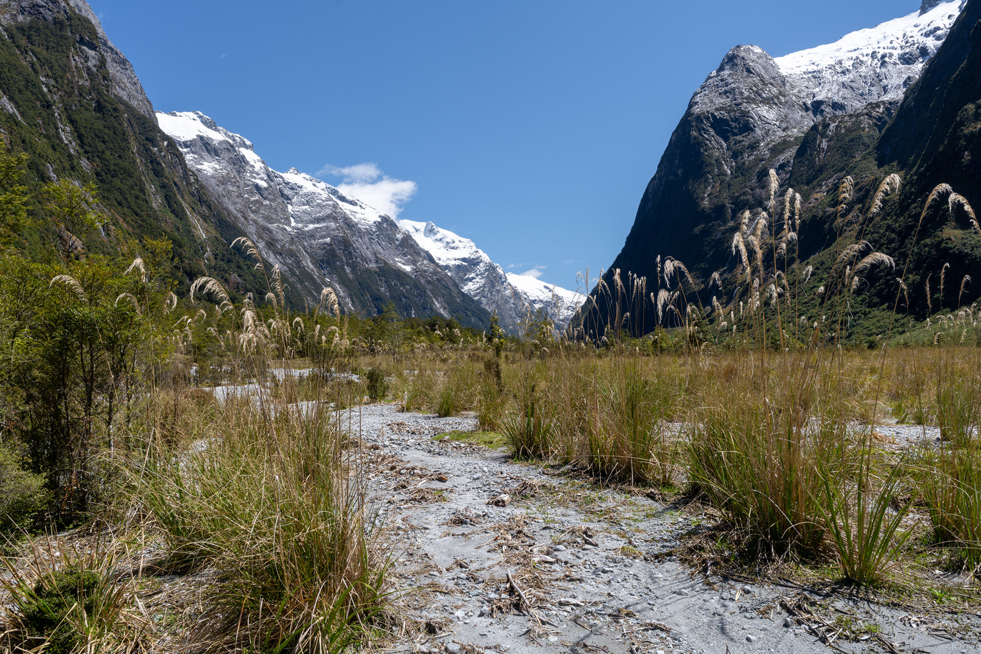 Milford Track wash