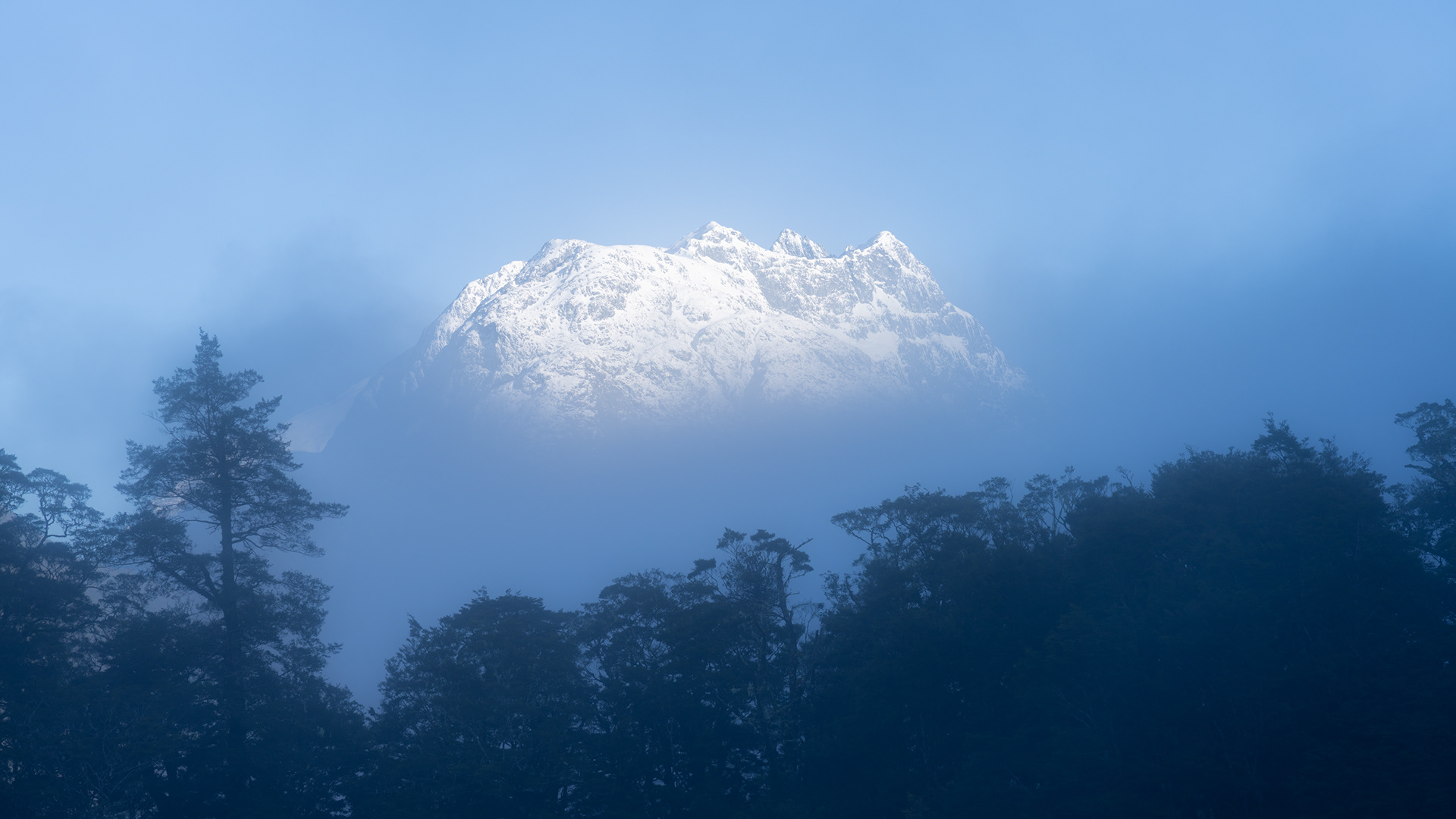 Milford Track peak peek