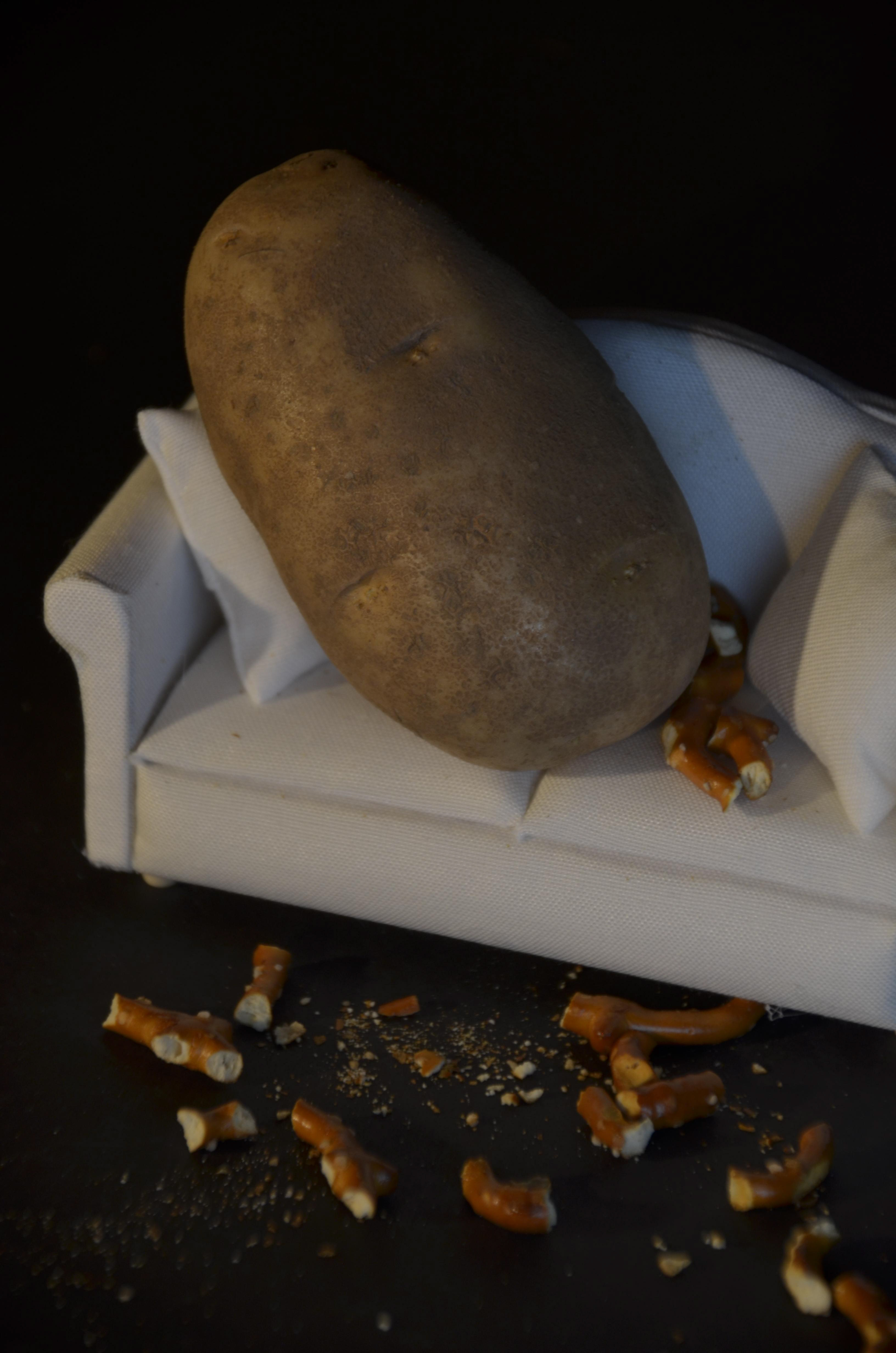 Prompt was a play on a common saying, I chose to do couch potato!