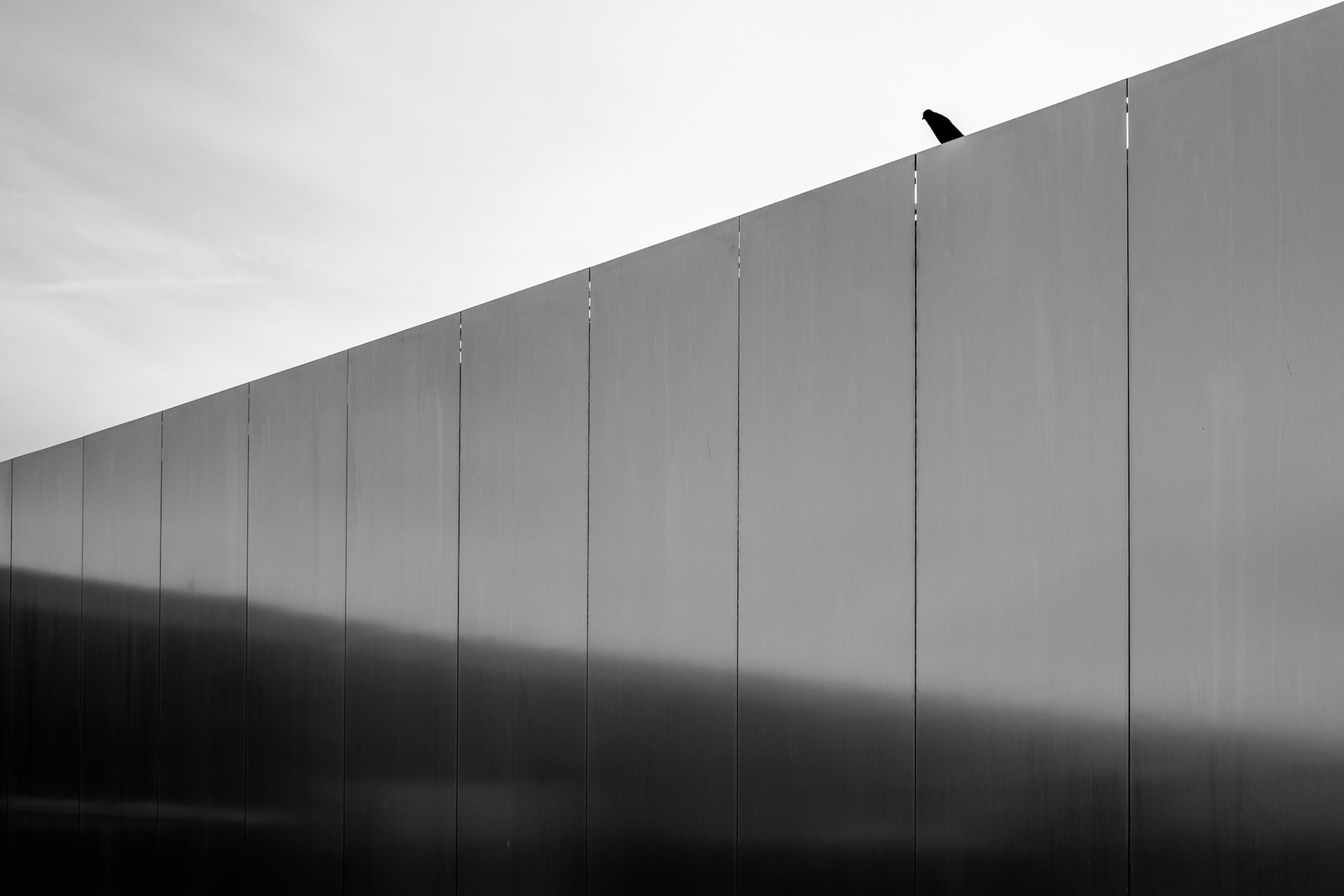 Louvre Lens, la Diagonale.