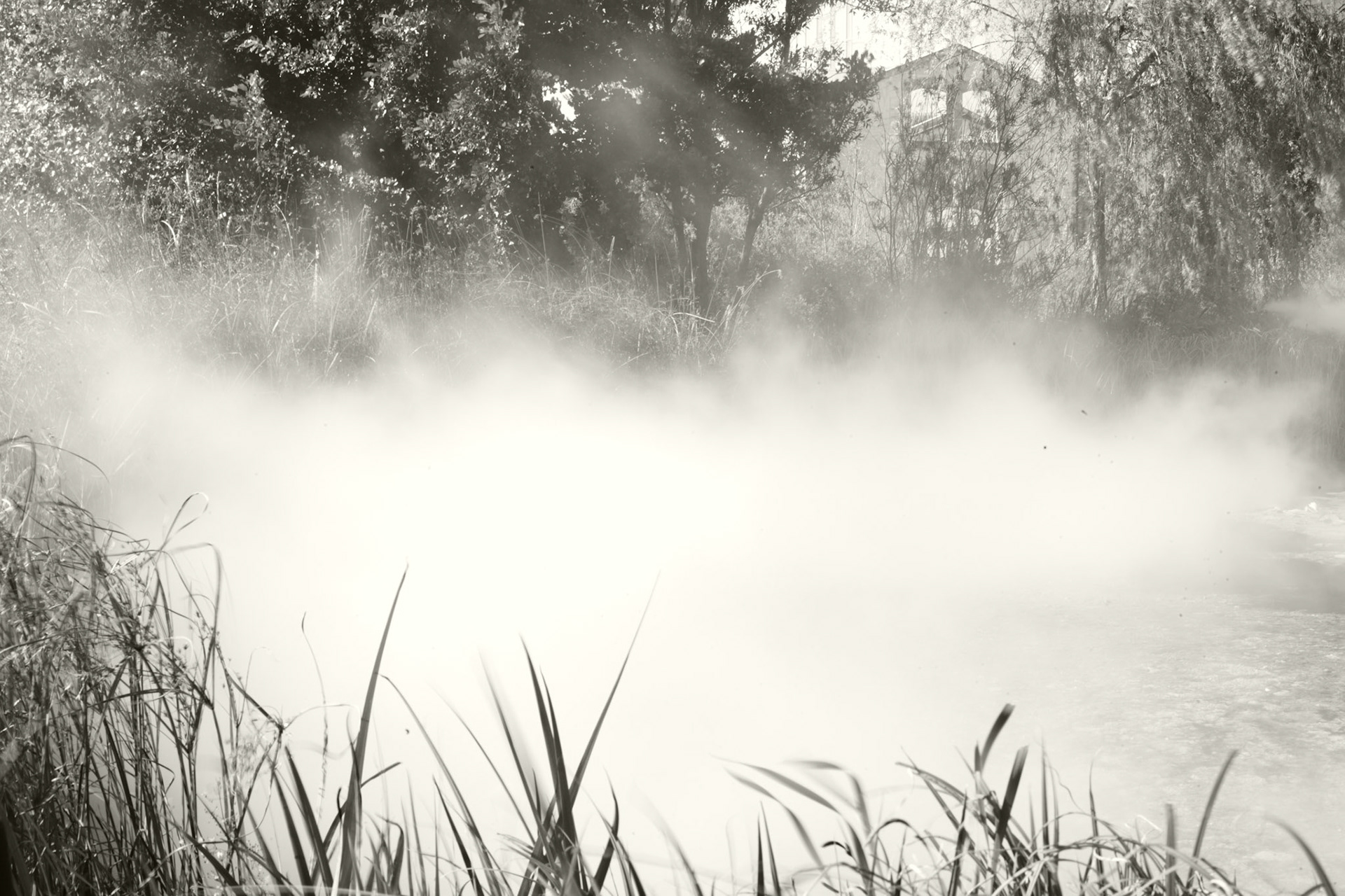 Arles, le parc des Ateliers.