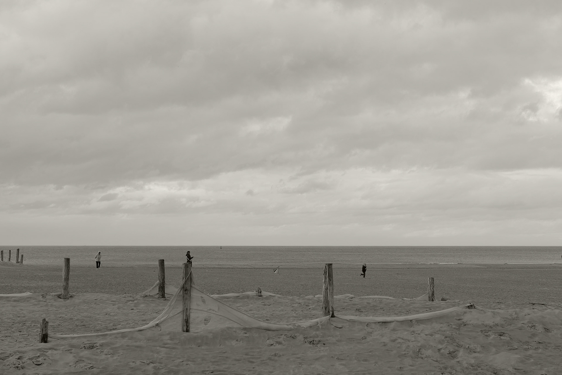 Dunkerque, les dunes.