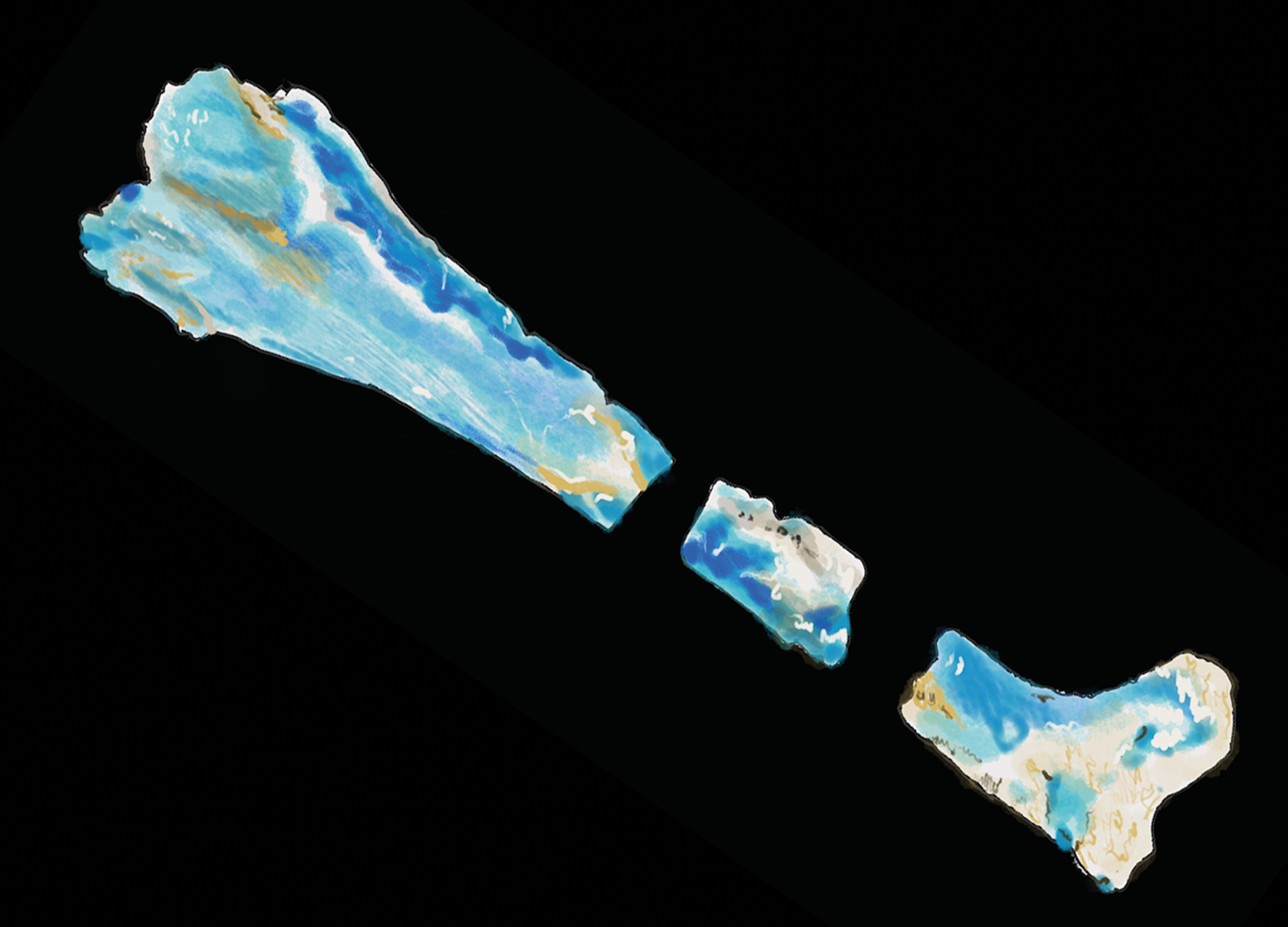 Fossilised Opal