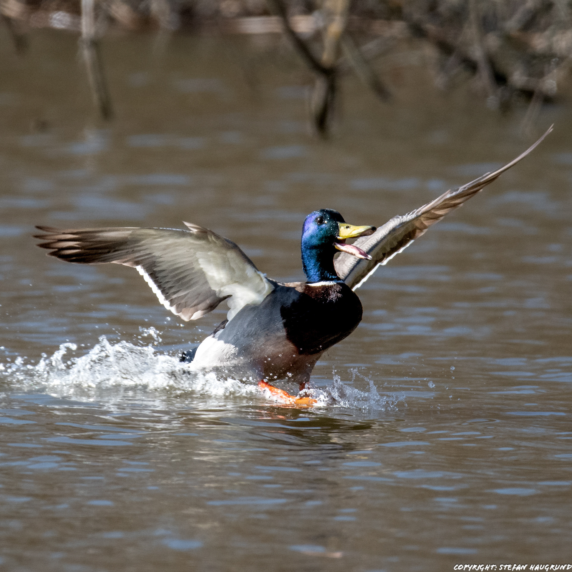 Clear the runway, here I come!!!