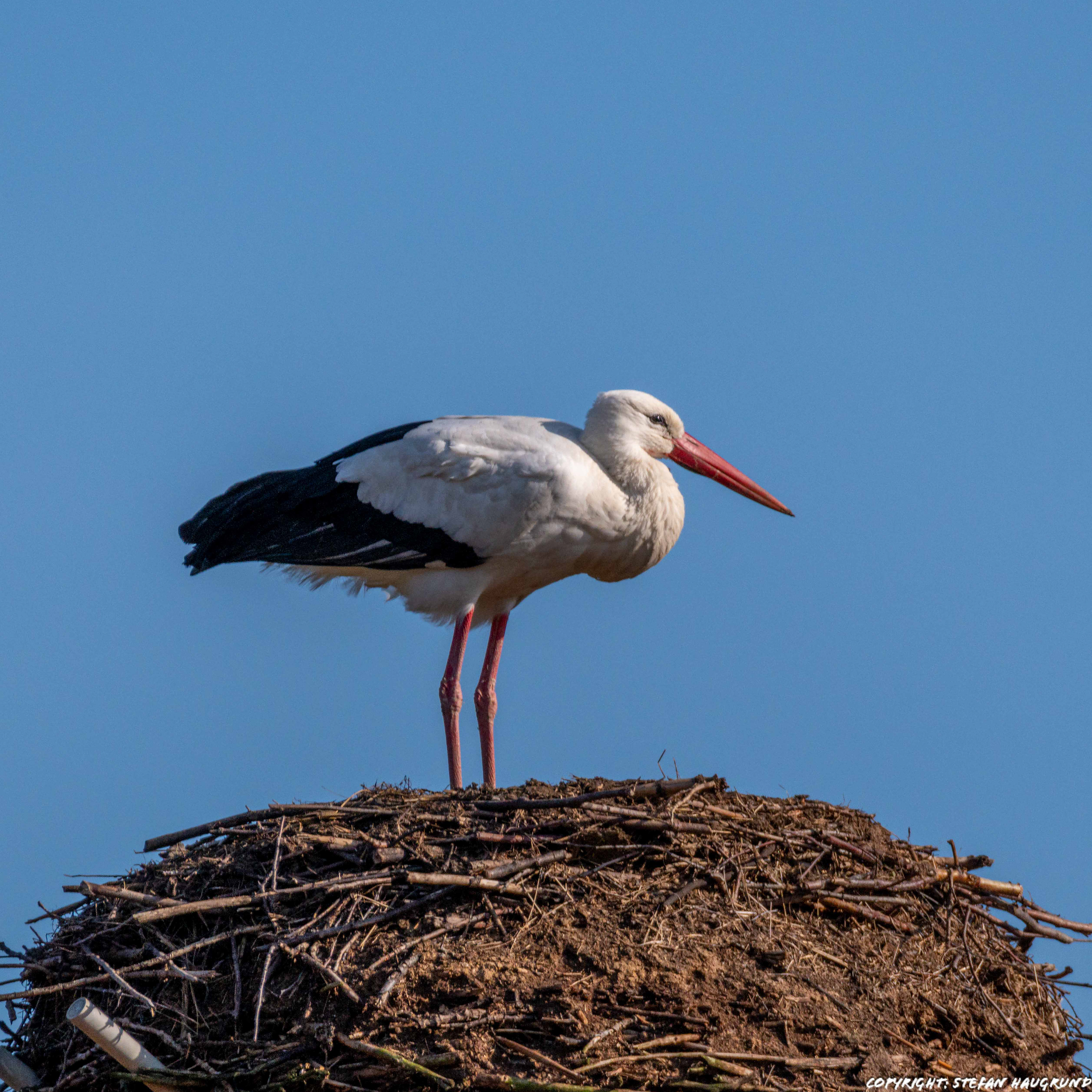 Waiting for my love