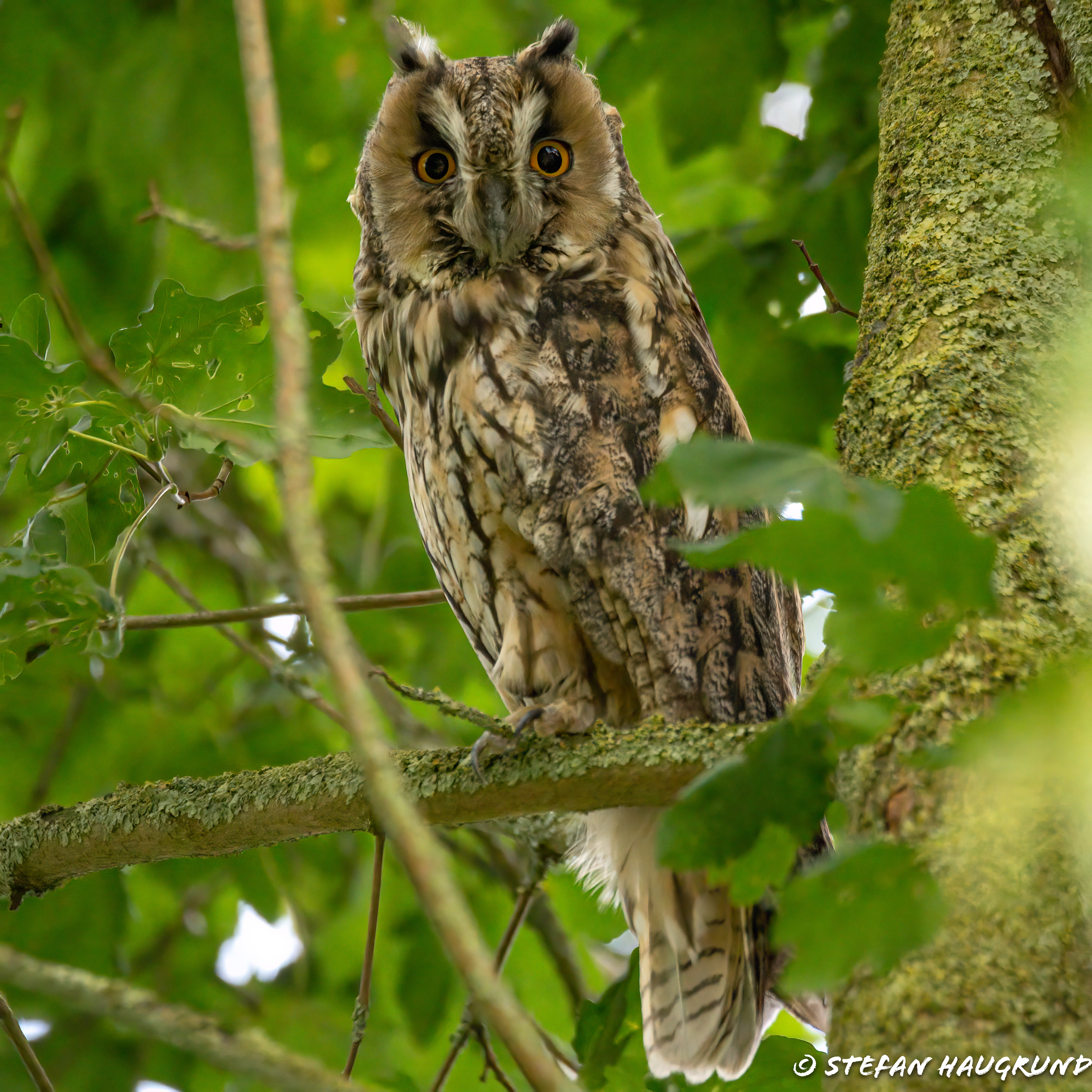 I'm watching you!!