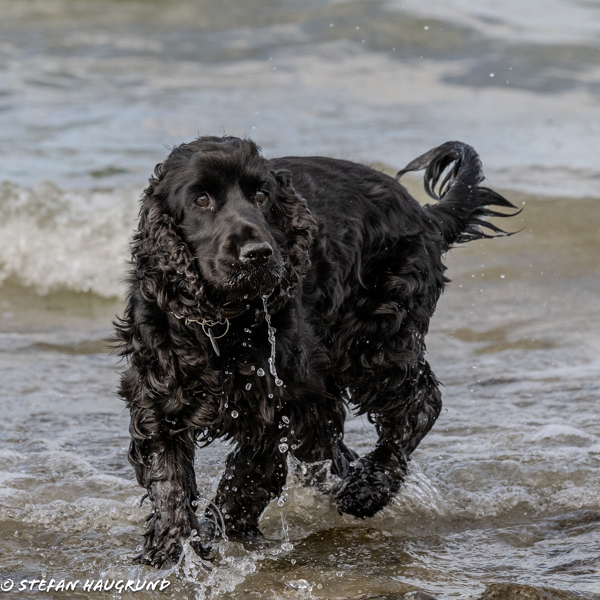 The Baltic Sea tastes good!!