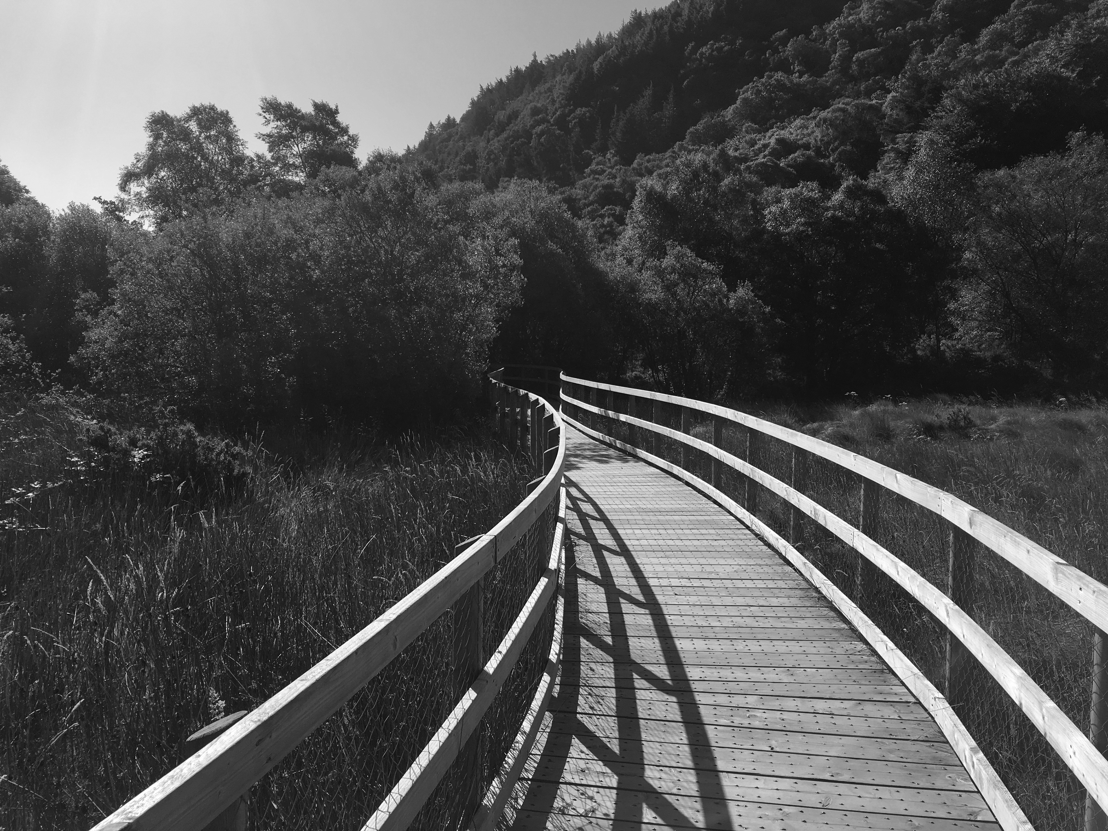 A Bridge to the past