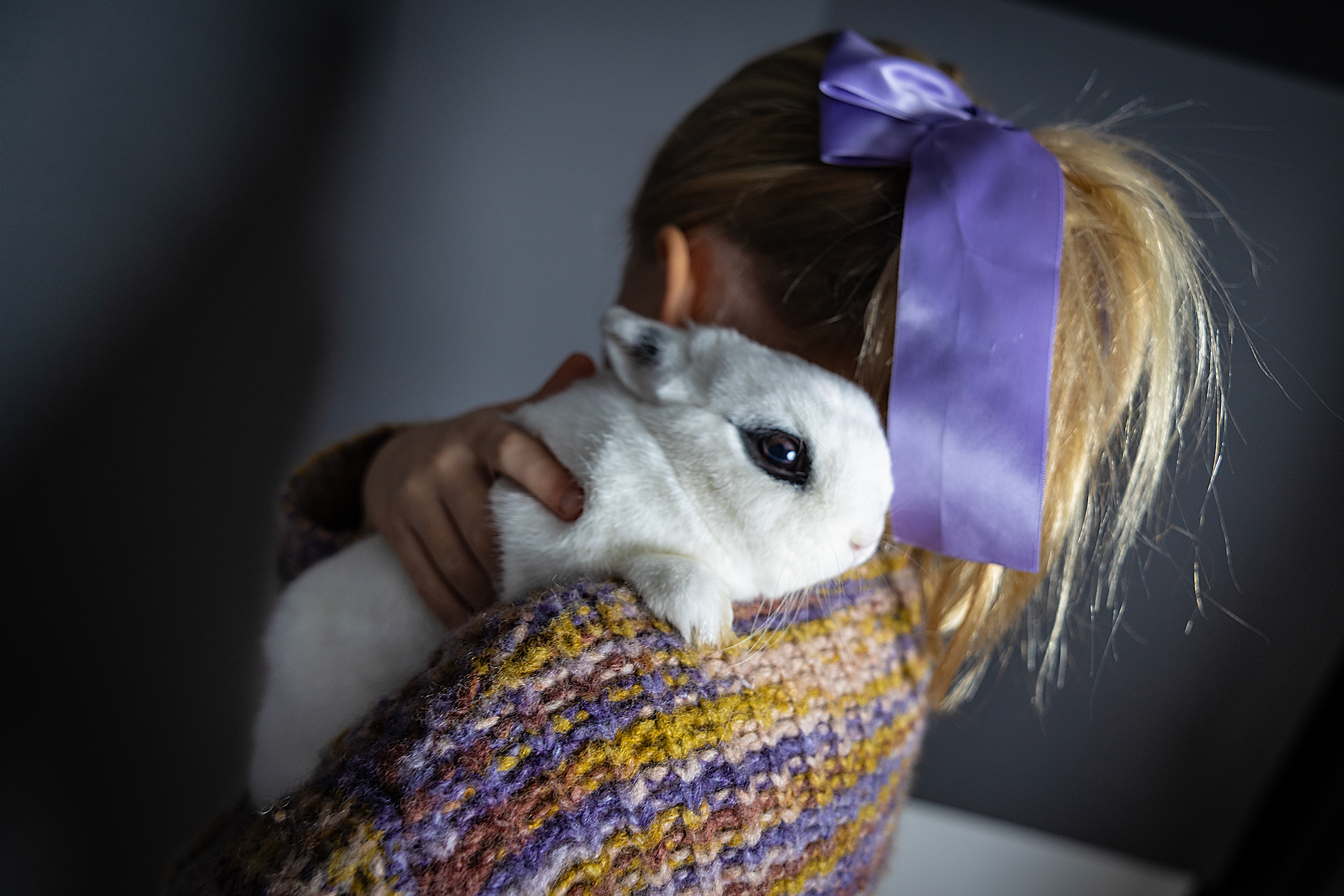 photo of a white rabbit in a girls arms