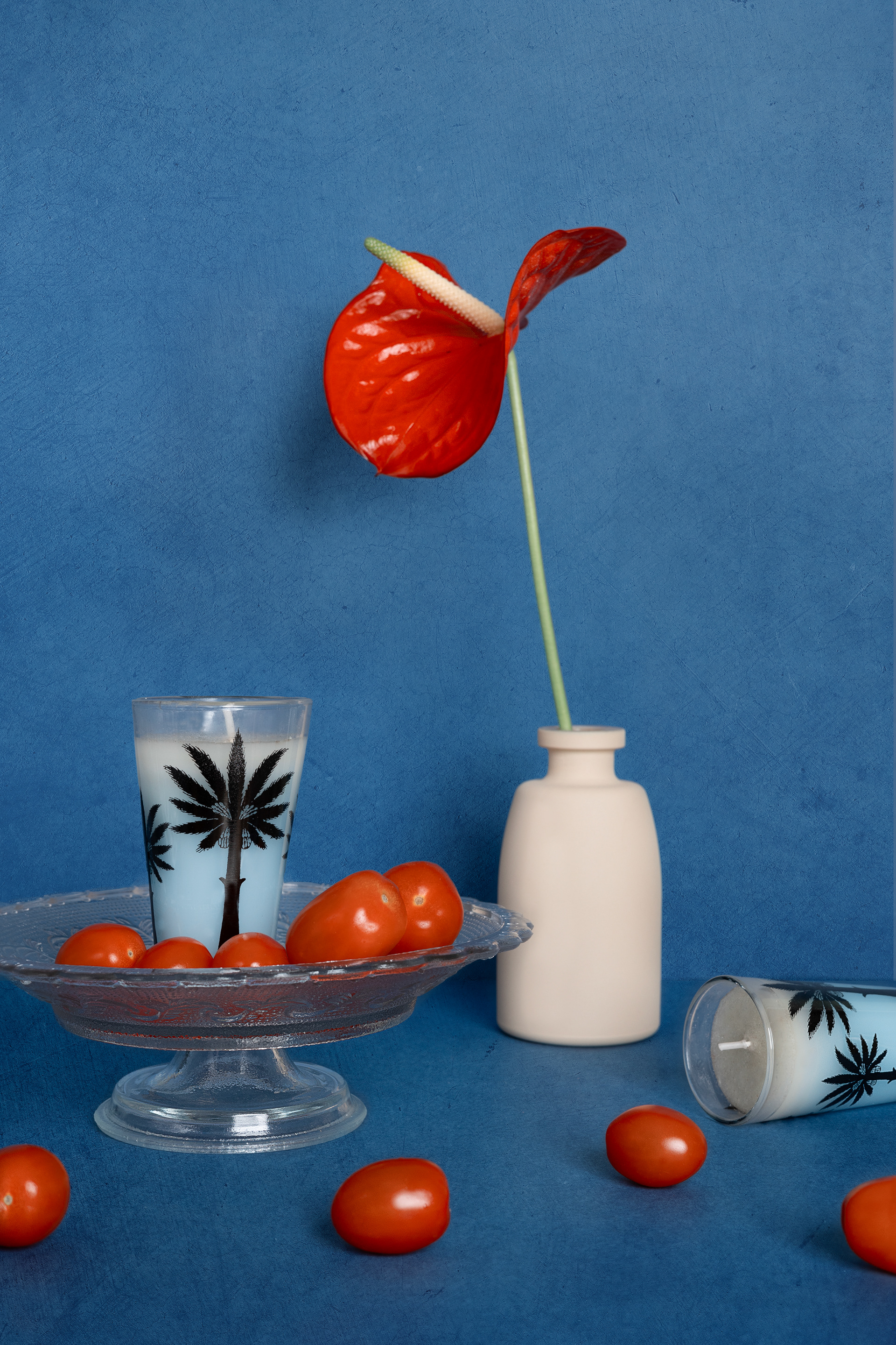 still life with blue background and red flower in a vase, with the florio candles of Ortigia sicilia