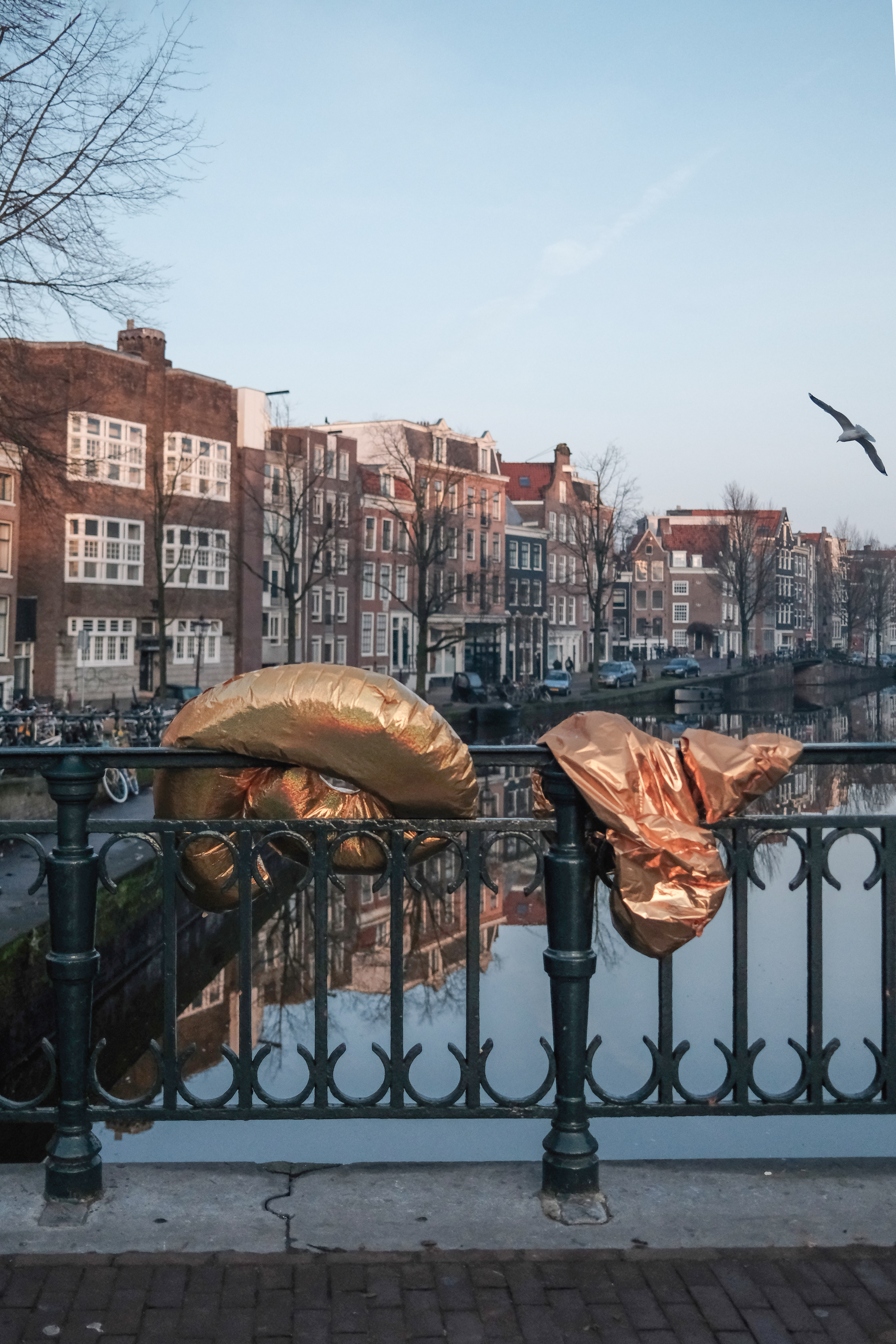 Bridge of Amsterdam with seagull and golden balloons, january 2025 by photographer Claudia Bonazzi