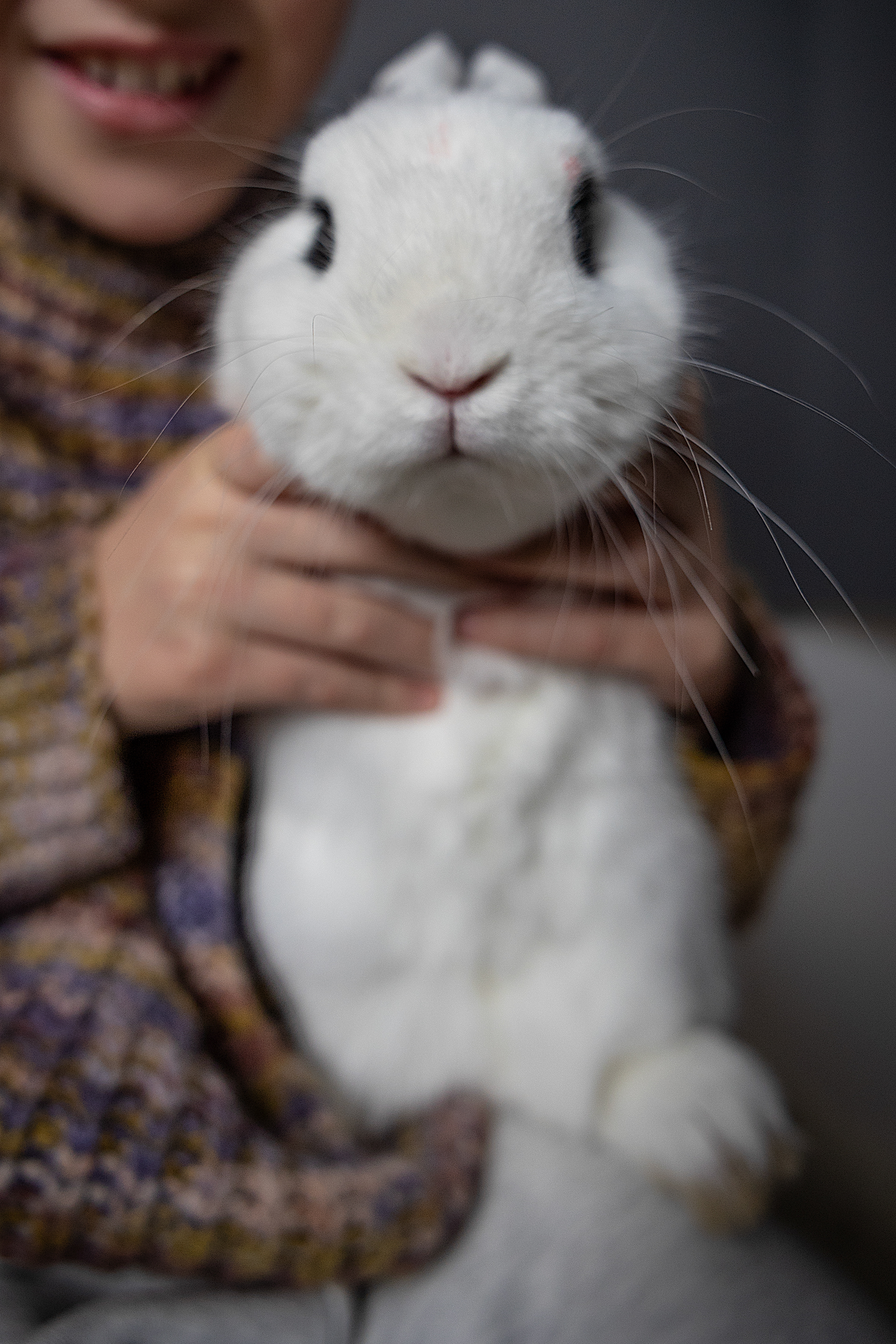 photo of a white rabbit in a girls arms, photovogue, pvmonday, pvmondayplayfulness, Claudia Bonazzi photographer based in Barcelona