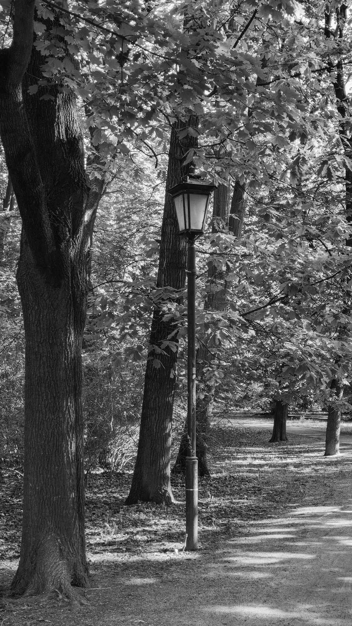 Saxon GardenOgród Saski