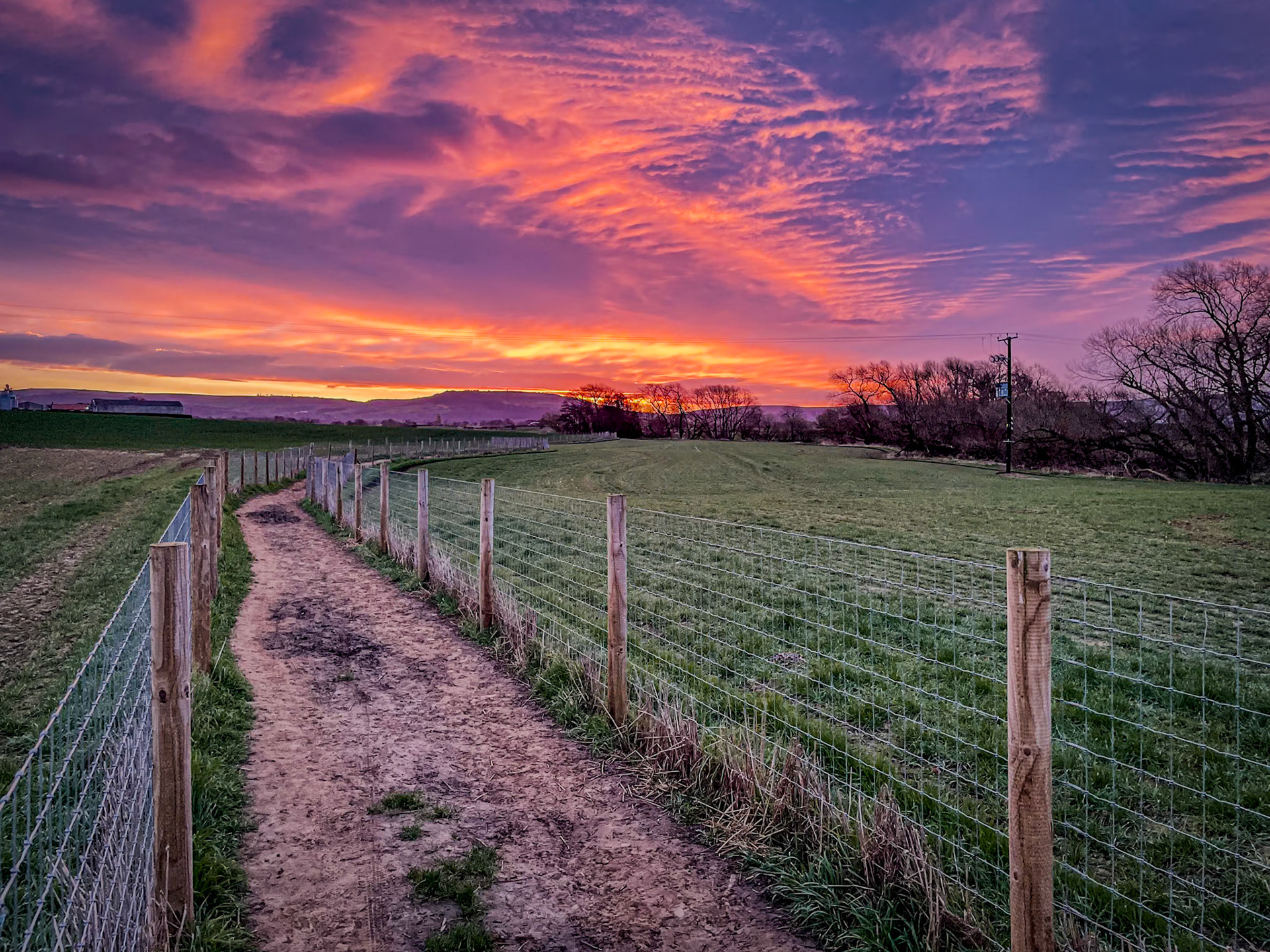 The Morning Sun While On My Run - Stokesley, North Yorkshire. March 2024