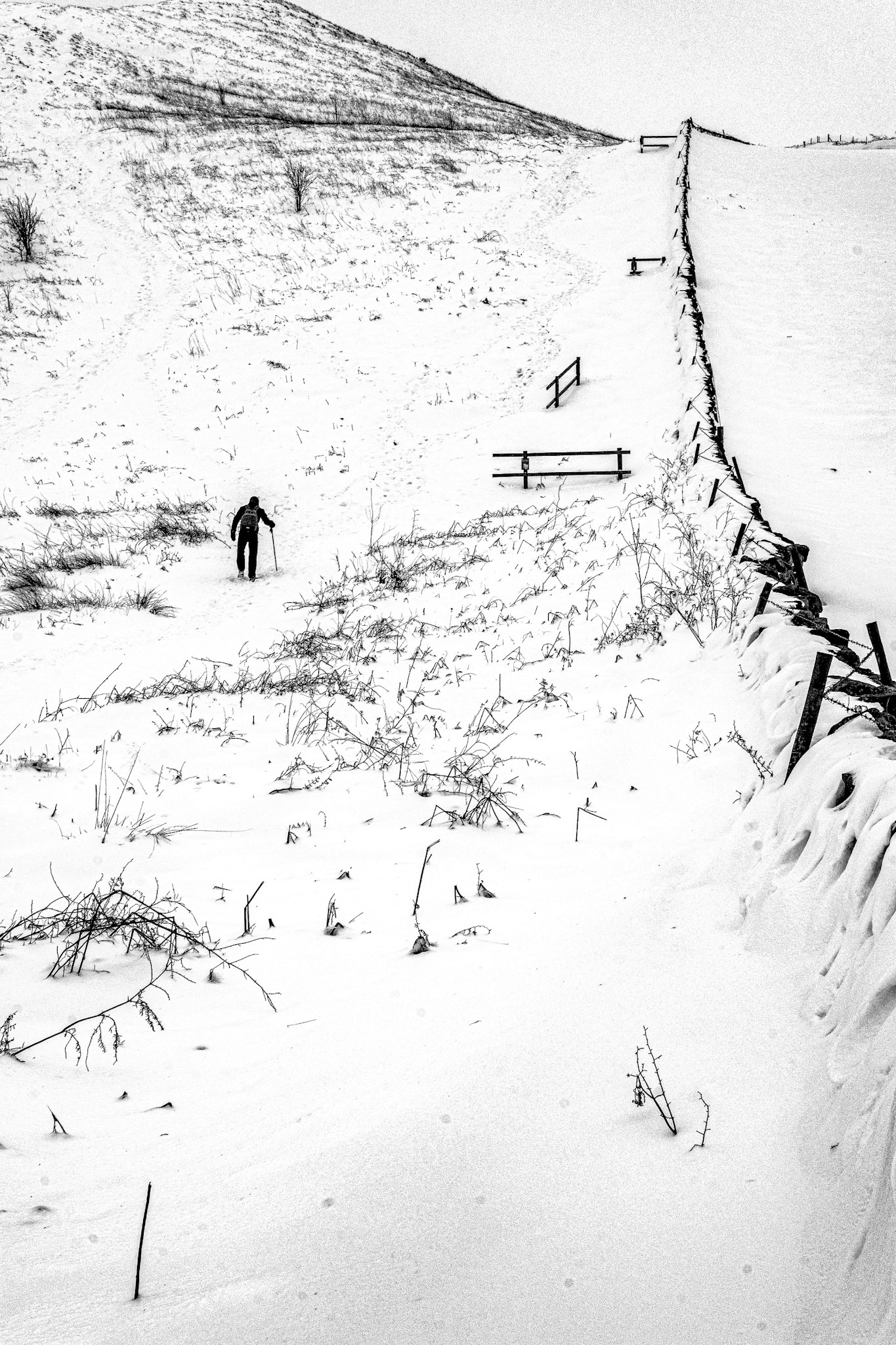 A Lonely Climb - Newton Moor, North Yorkshire 2018