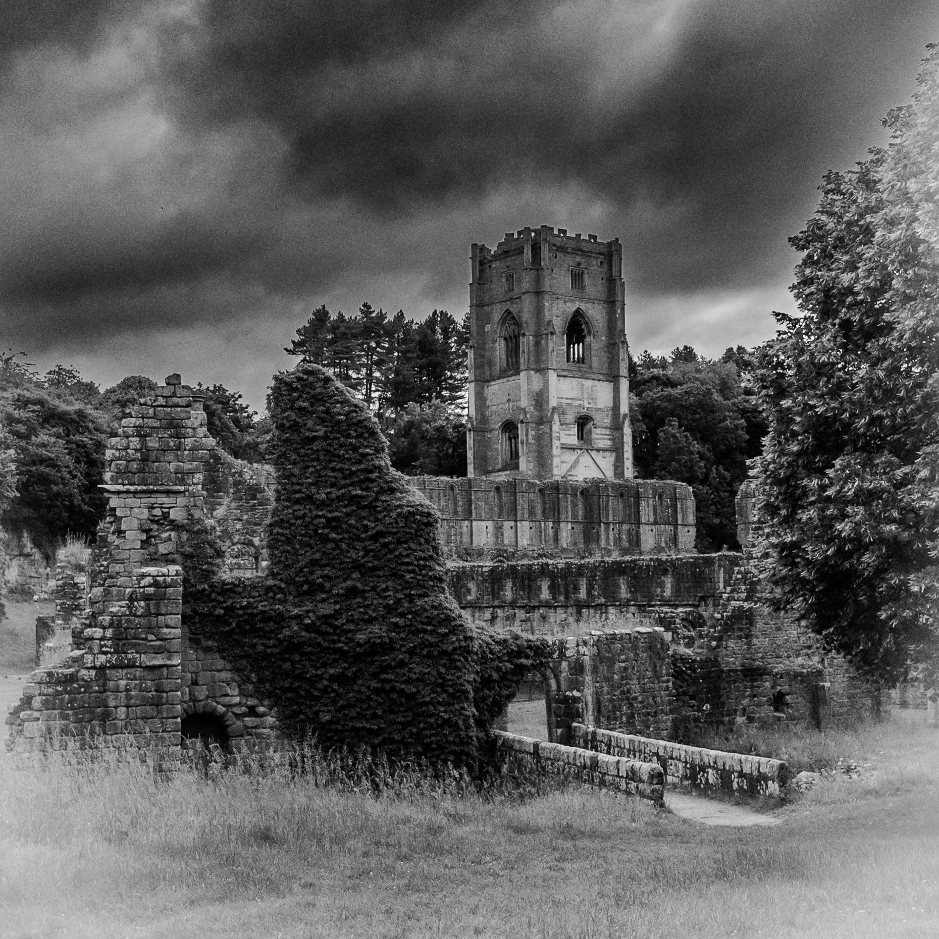 Fountains Abbey - North Yorkshire - June 2024
