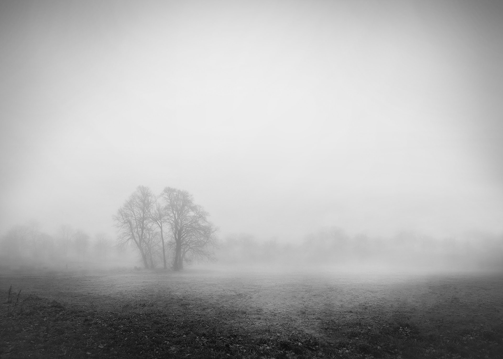 Alone - 2022 Paisley, Scotland