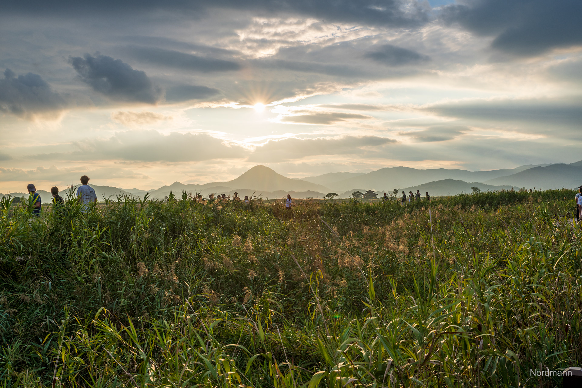 Suncheon Bay Nature Reserve