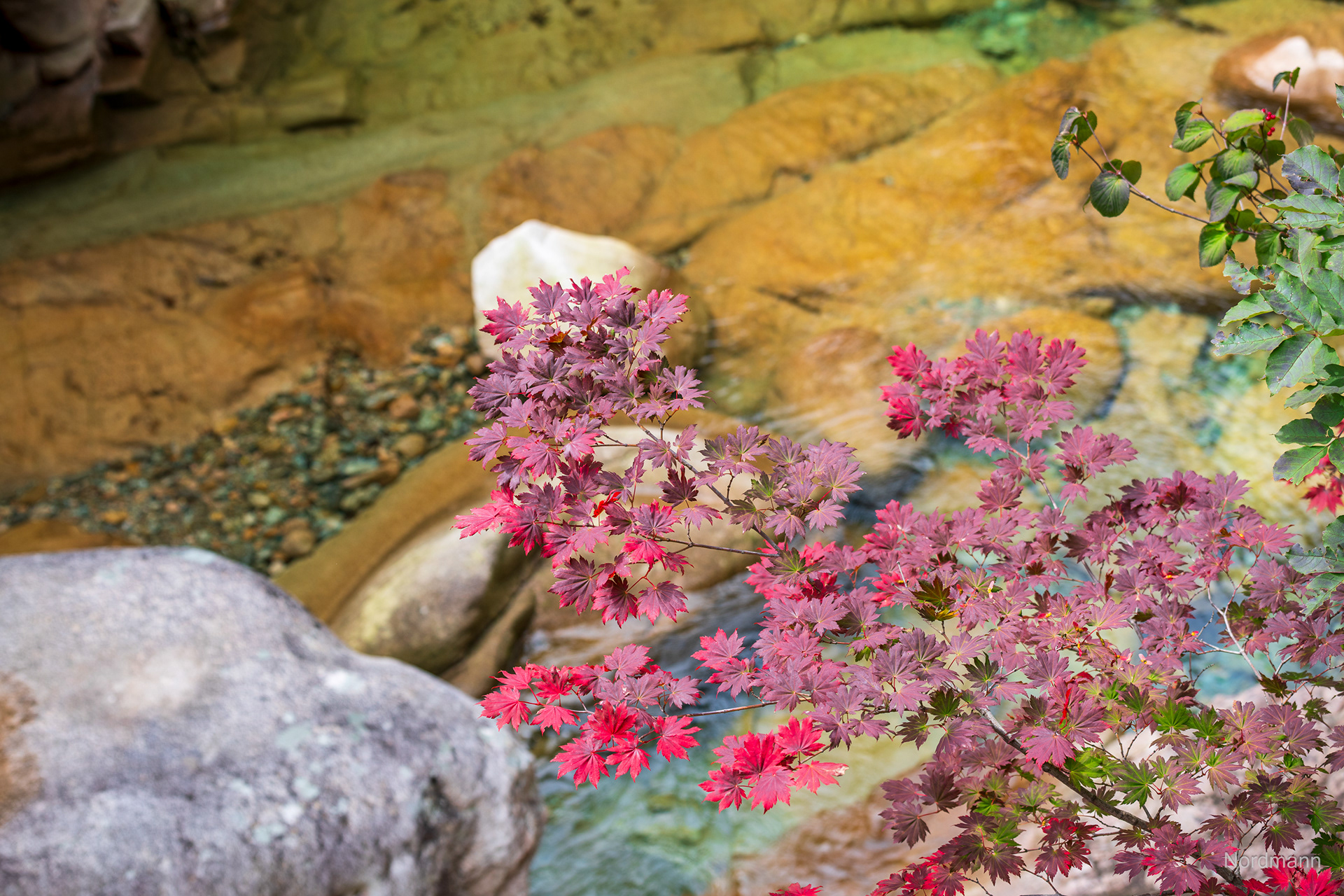 Seoraksan National Park