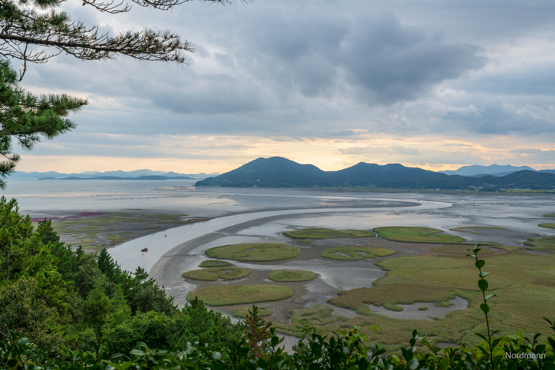 Suncheon Bay Nature Reserve