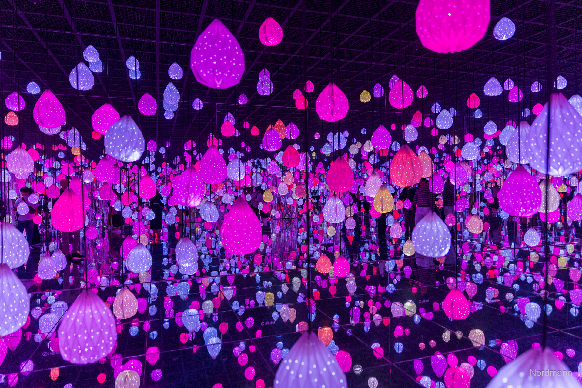 Arte Museum Gangneung