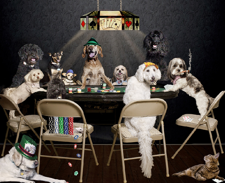 This collage image was shot for Heaven Can Wait in Las Vegas. I took each dog and shot them alone at the poker table, then merged each one to create this image.