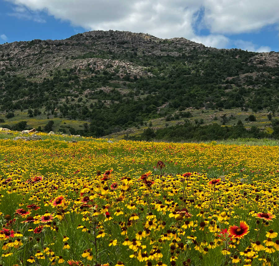 Wichita Mountains Lawton, OK