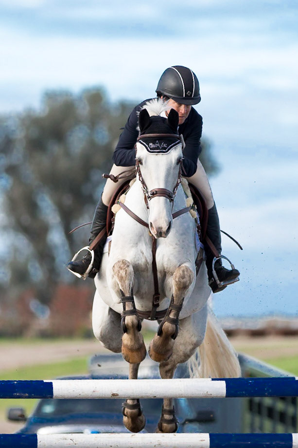Equestrian jumping in Fresno, CA