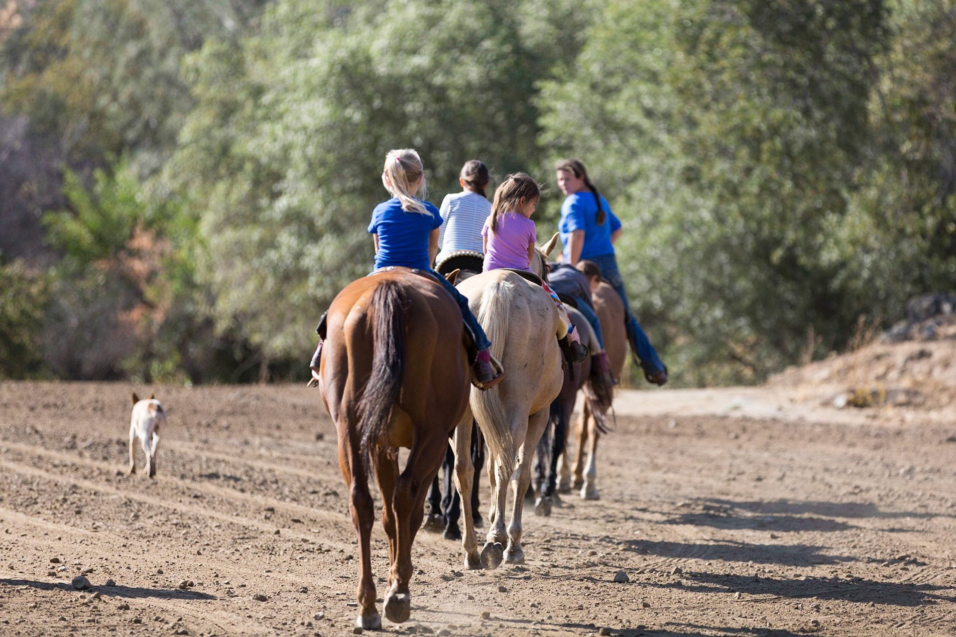 photography Trail riding in Prather, CA
