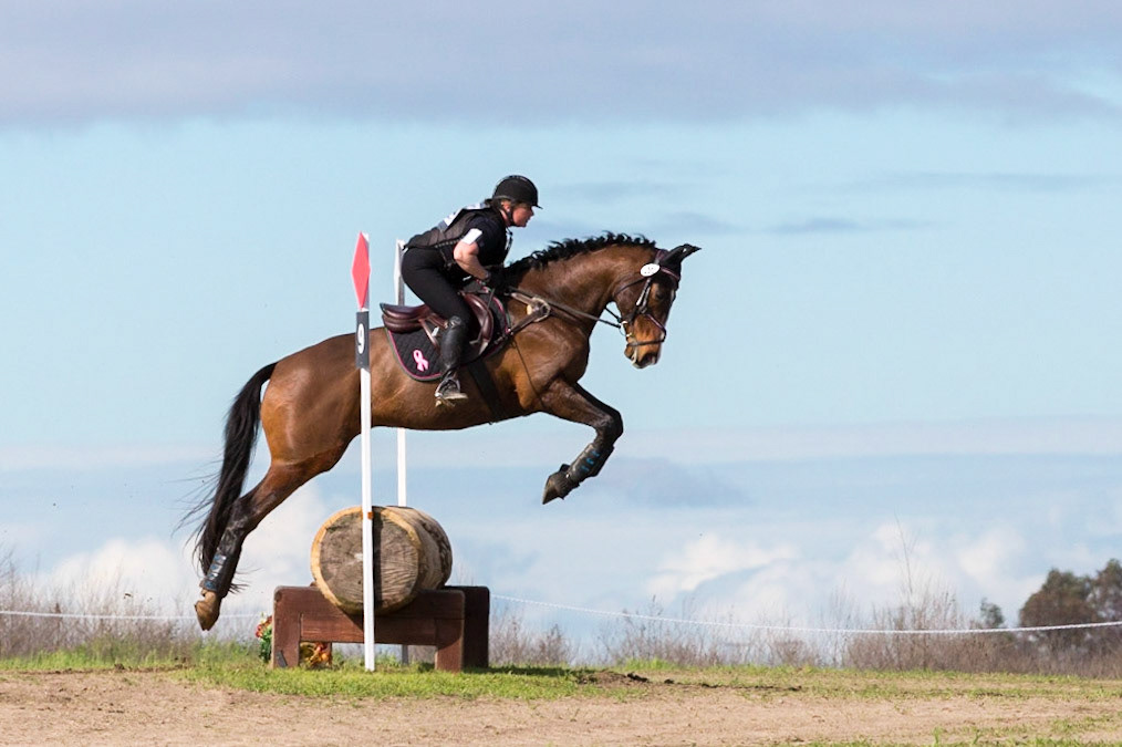 Equestrian jumping in Fresno Horse Park