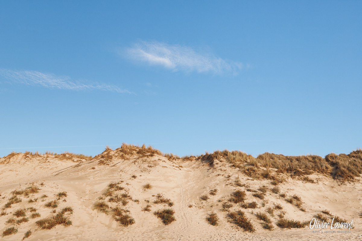 Dune de sable à Carcans-Plage en Gironde.