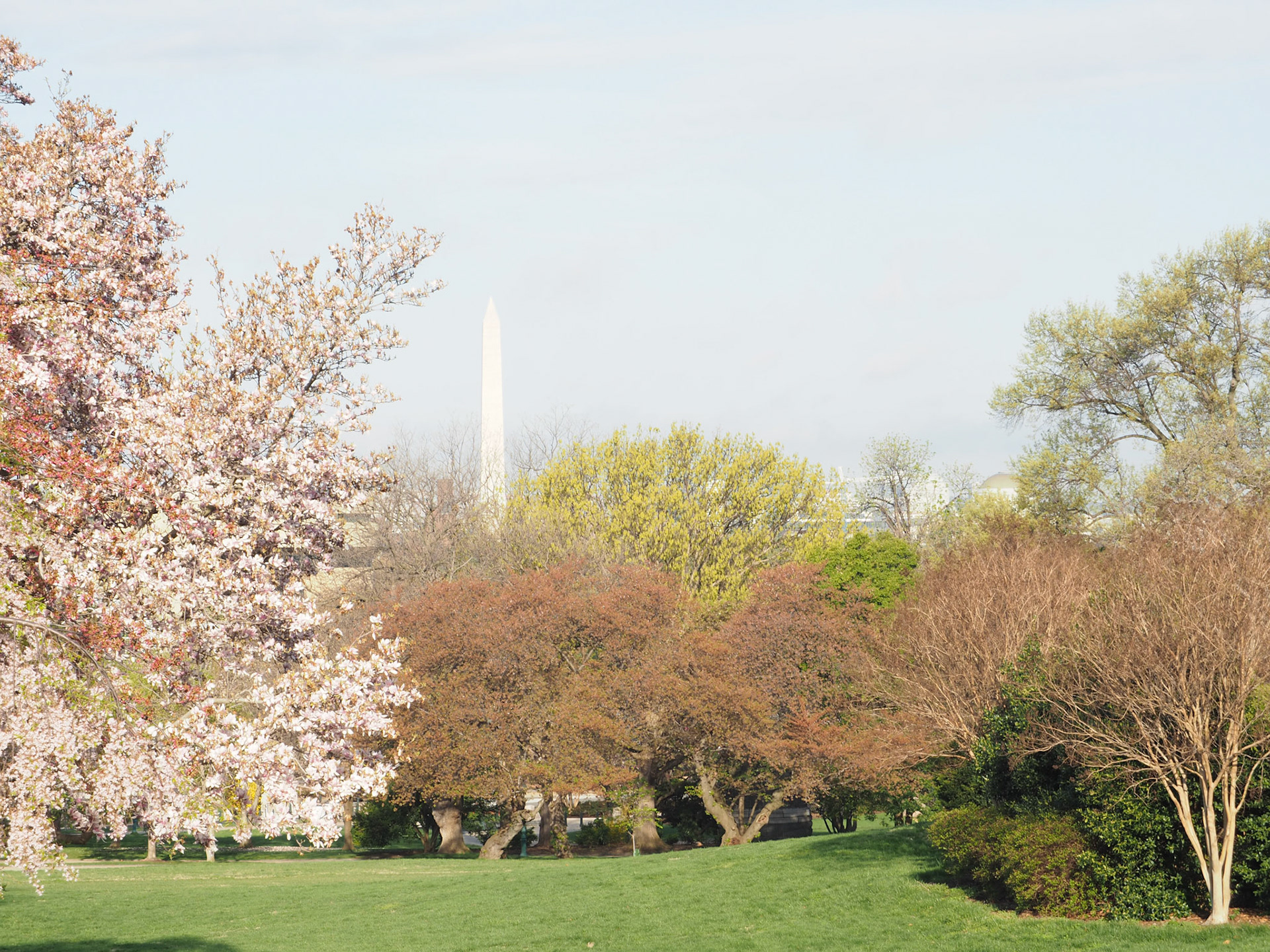 Washington Monument