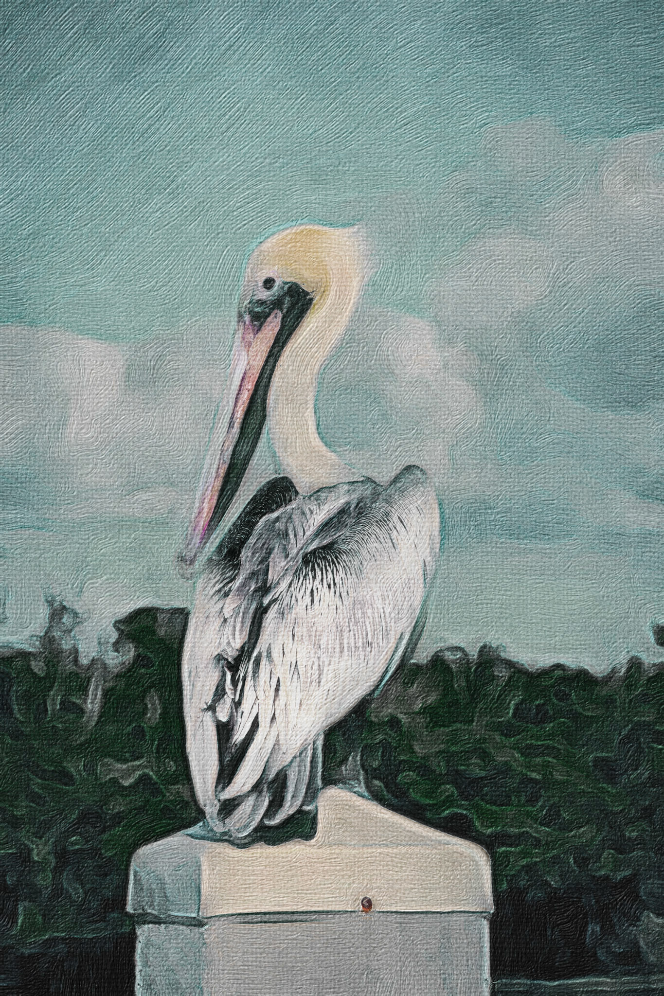 Pelican Painting