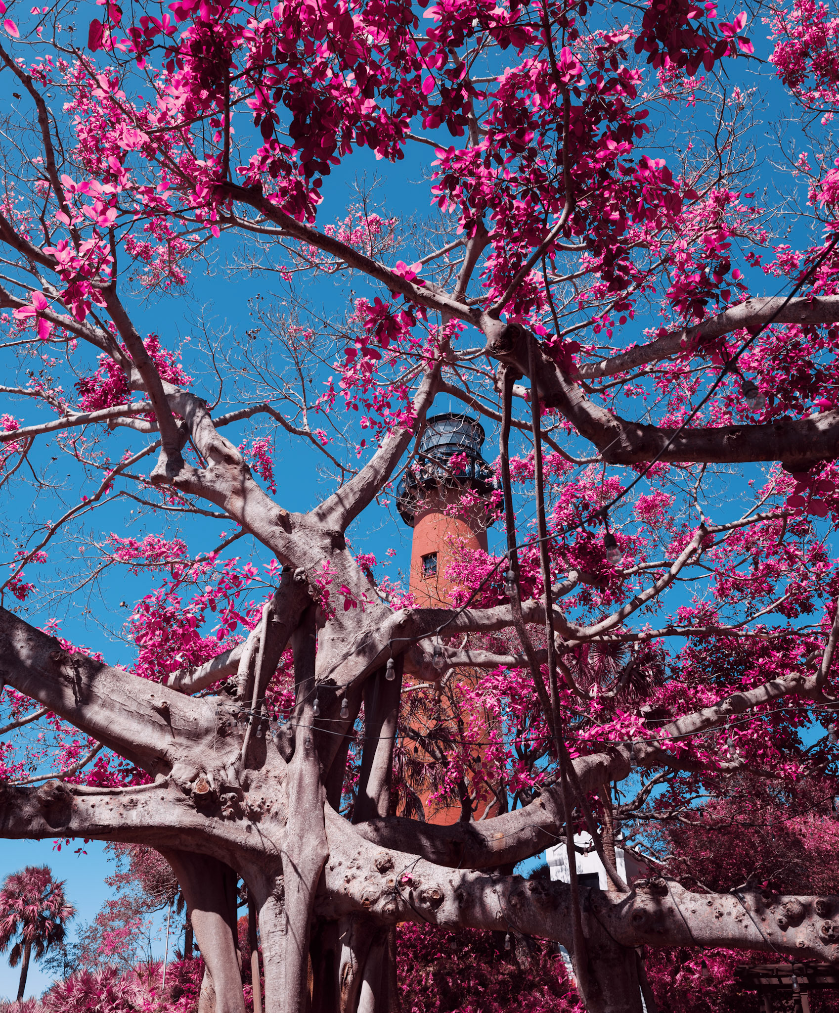 Jupiter Lighthouse Aerochrome