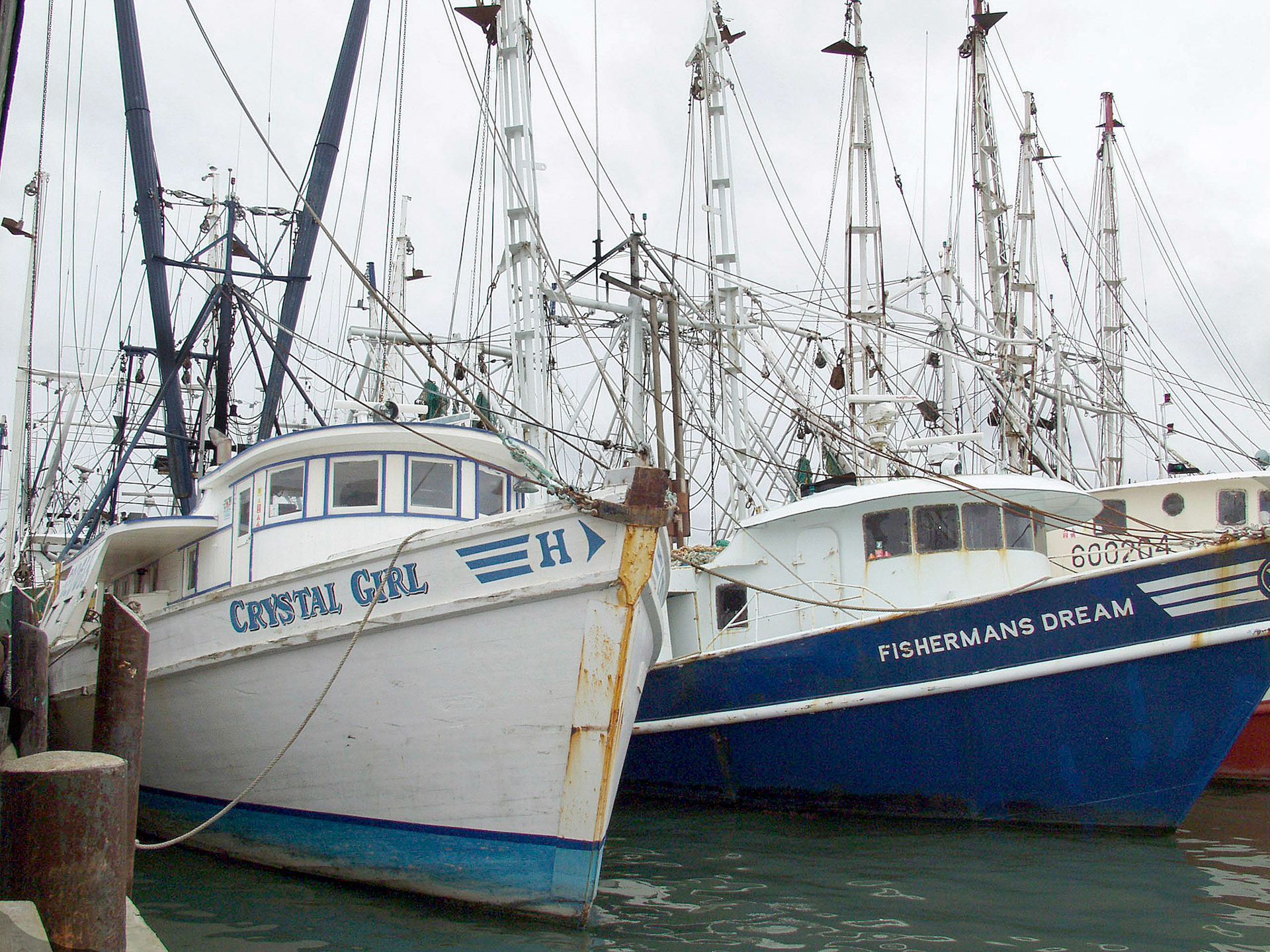 Fishing Trawlers Cape May