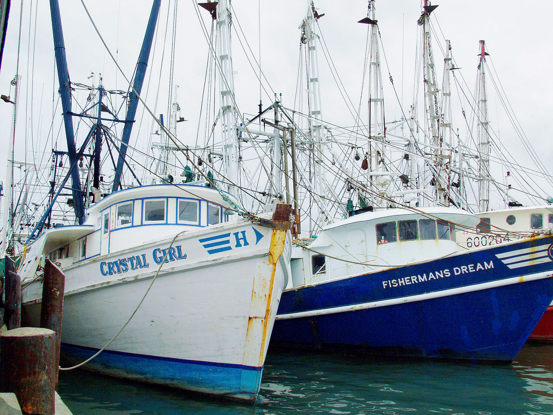 Fishing Trawlers Cape May