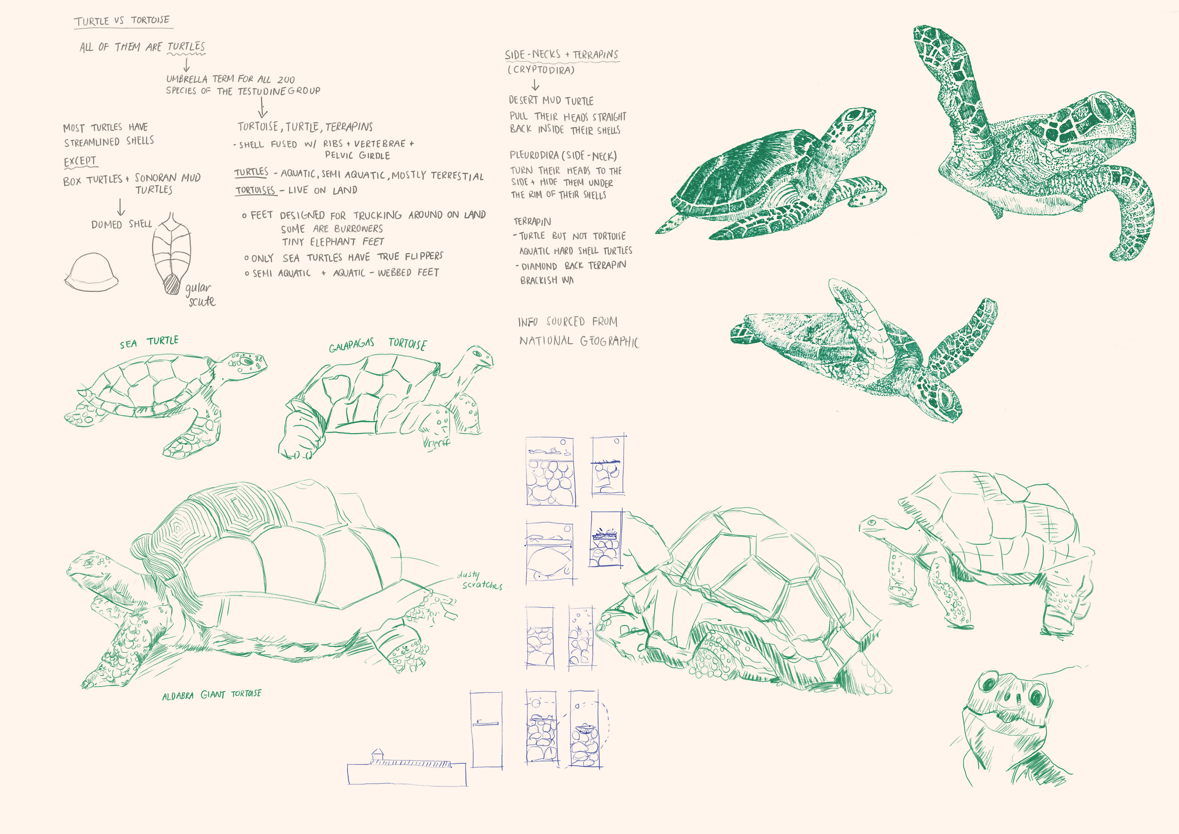 bnox: Turtles all the way down